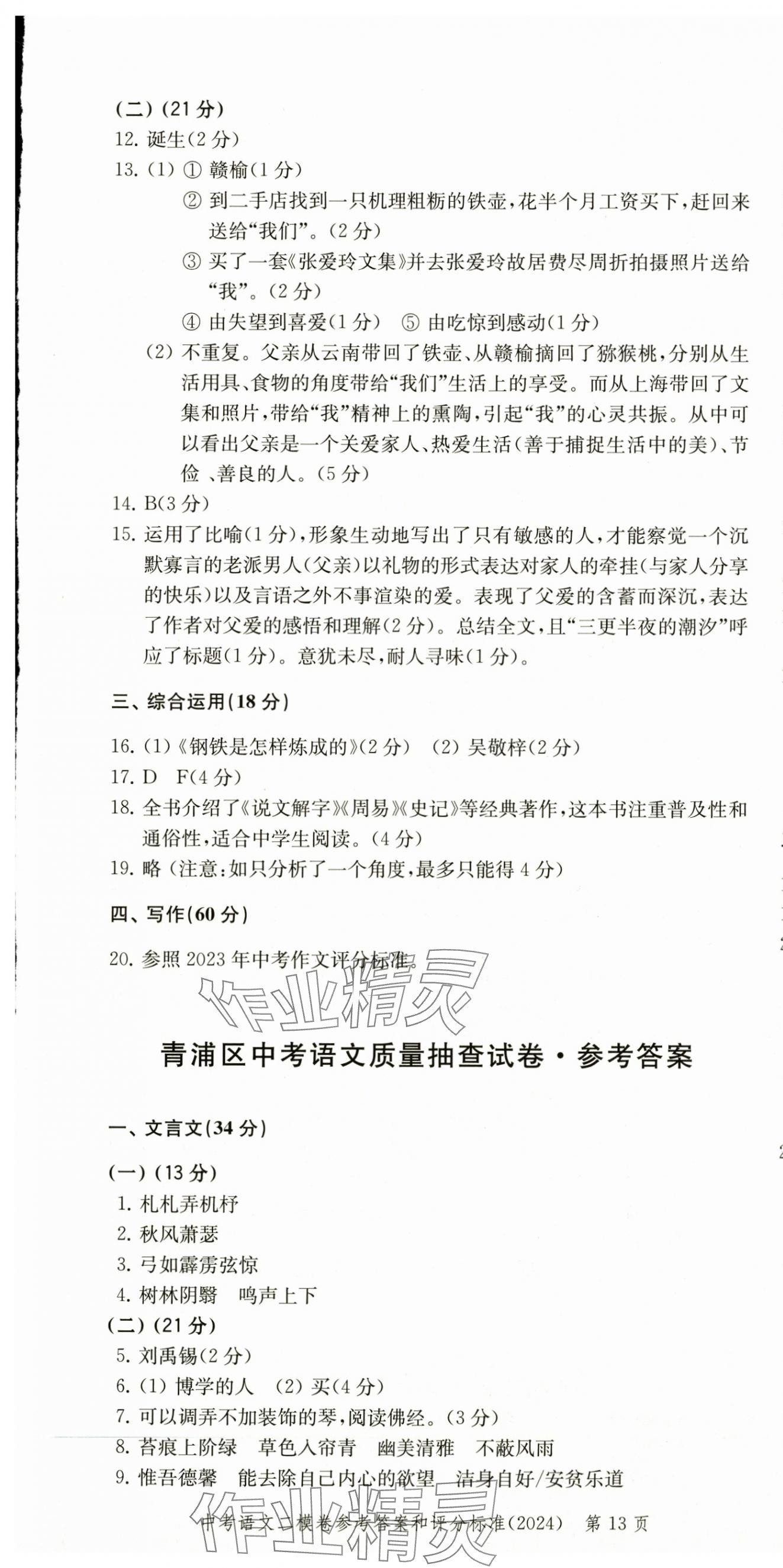 2025年走向成功語(yǔ)文中考三年合訂本2022~2024 第13頁(yè)
