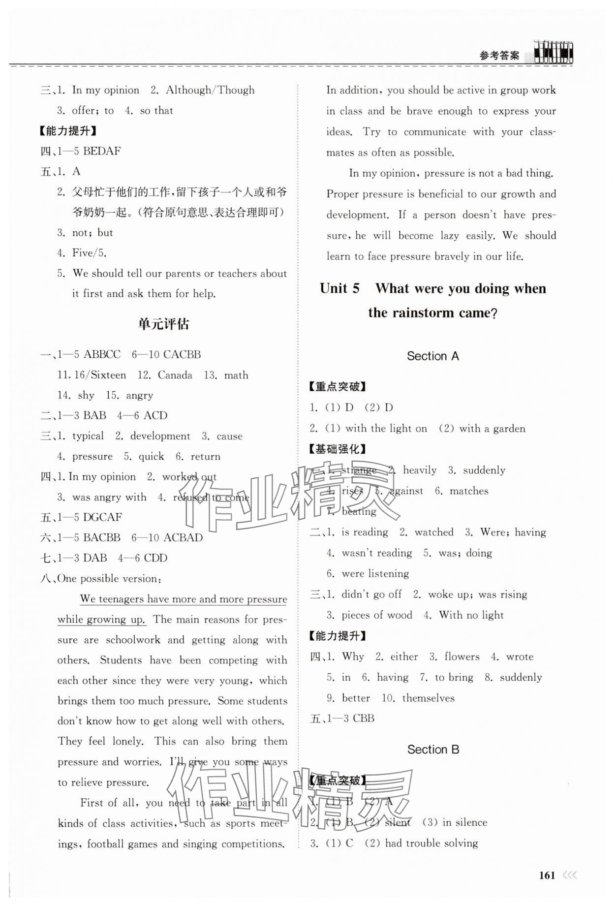 2025年同步練習(xí)冊(cè)八年級(jí)英語(yǔ)下冊(cè)人教版山東科學(xué)技術(shù)出版社 第5頁(yè)