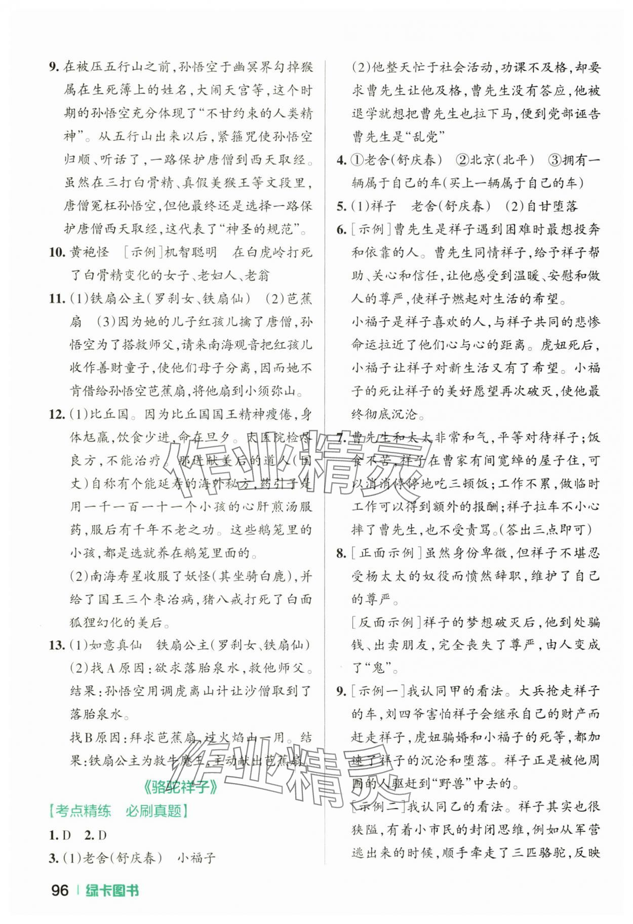 2025年名著导读考点精练语文中考&nbsp;参考答案第5页