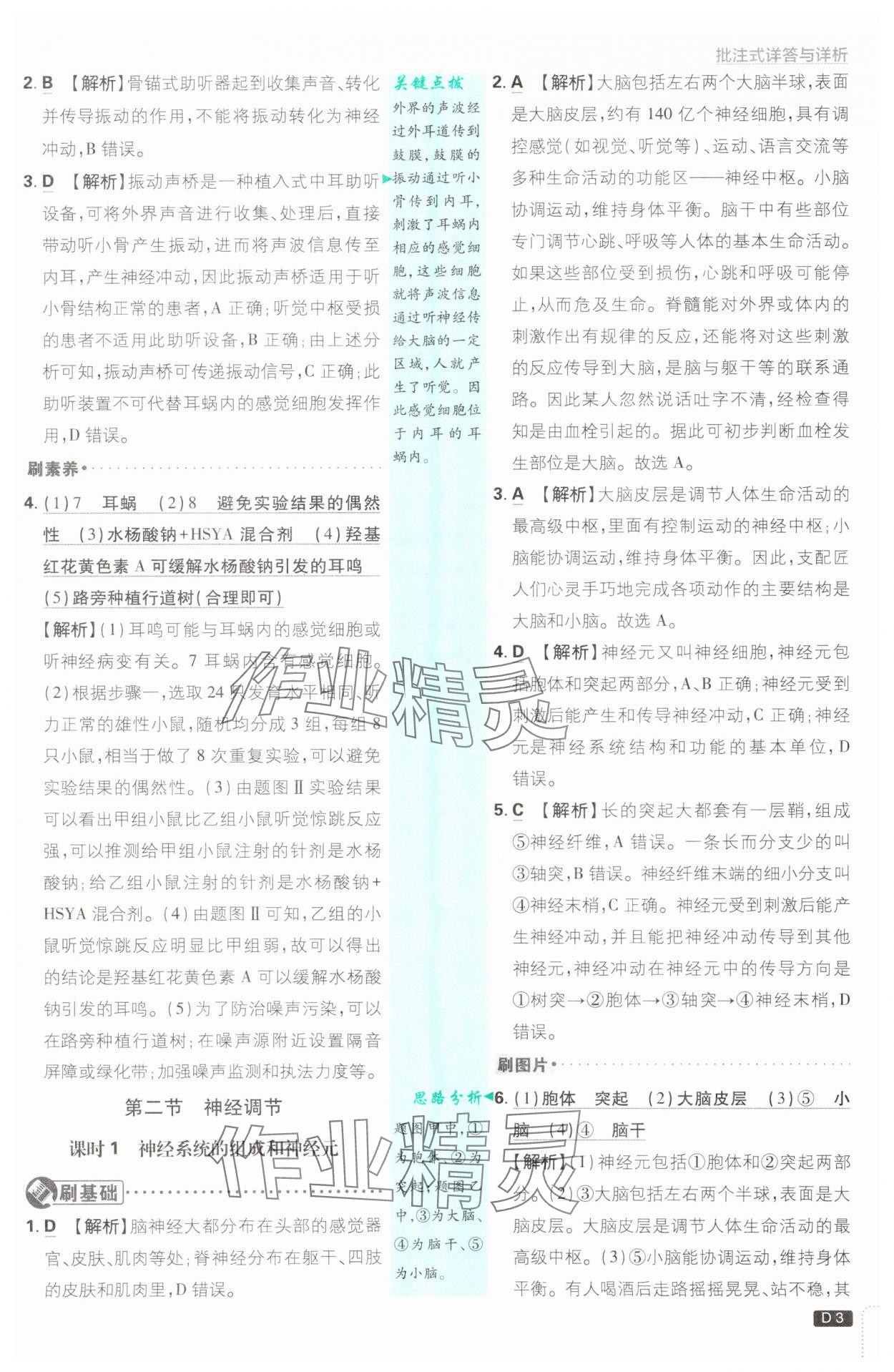 2025年初中必刷题八年级生物上册人教版&nbsp;第3页