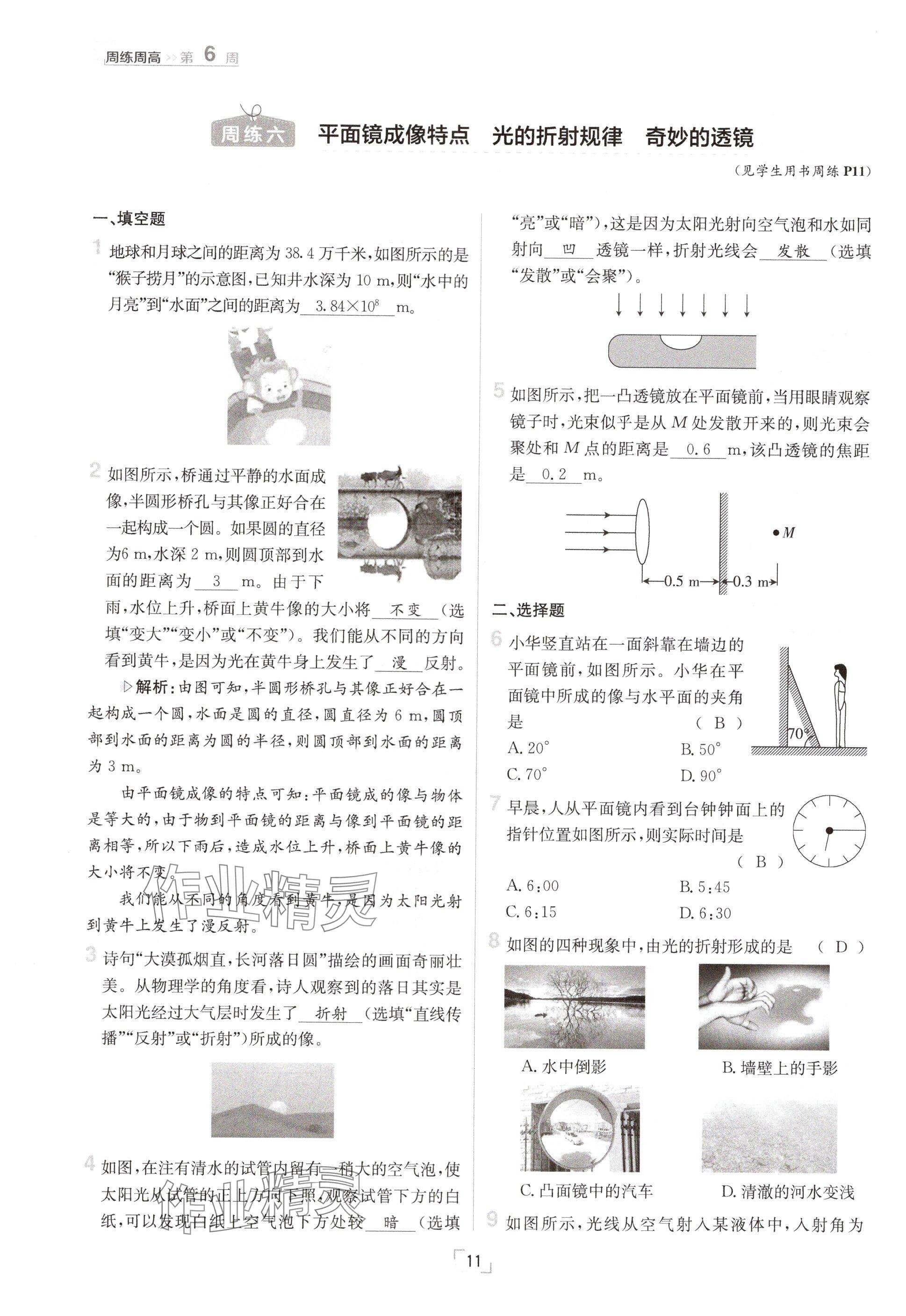 2024年日清周练八年级物理上册沪粤版 参考答案第11页