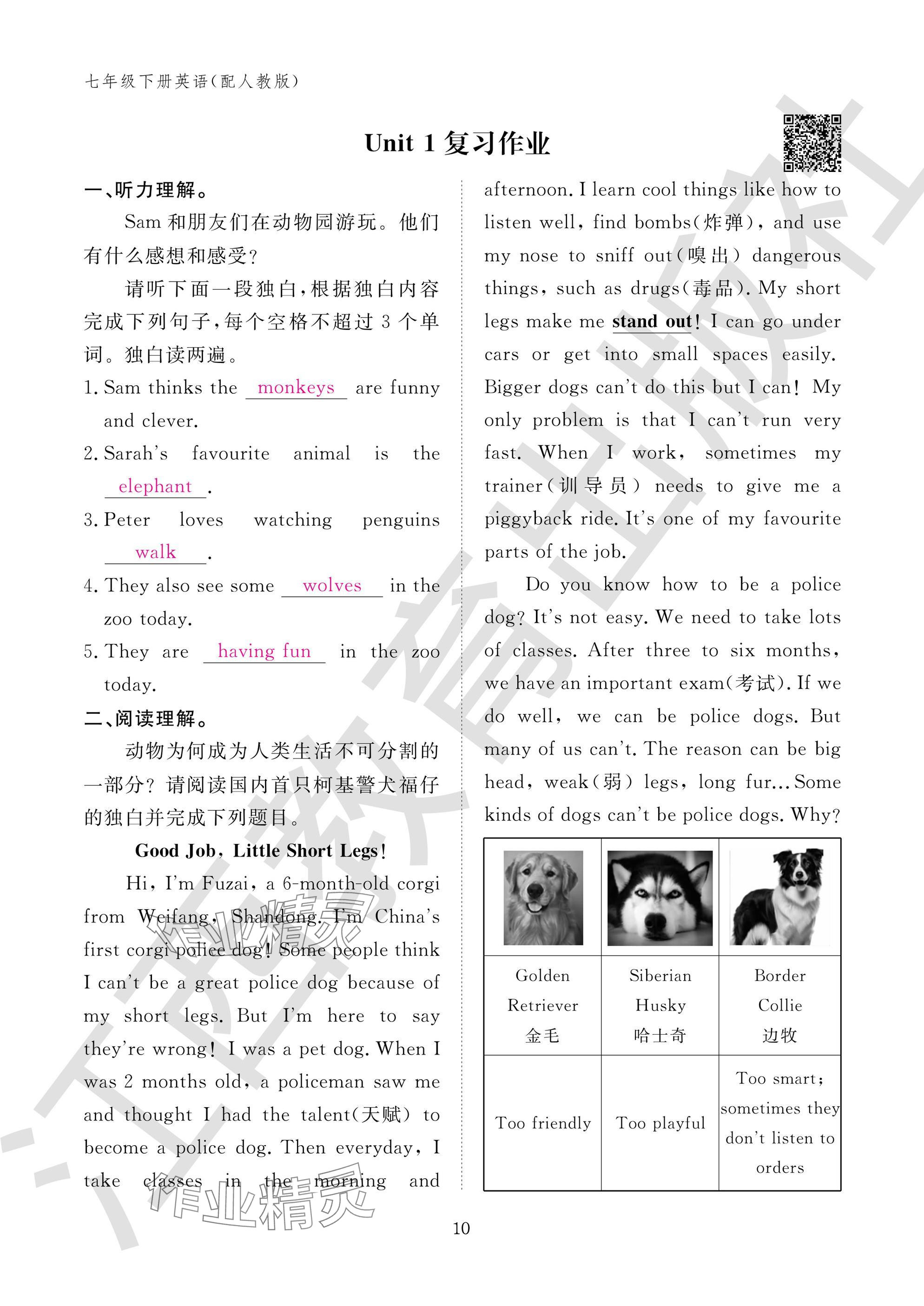 2025年作业本江西教育出版社七年级英语下册人教版 参考答案第10页