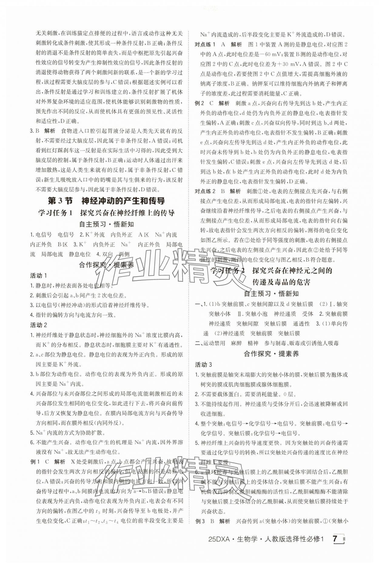 2025年金太陽導(dǎo)學(xué)案高中生物選擇性必修1人教版 參考答案第7頁