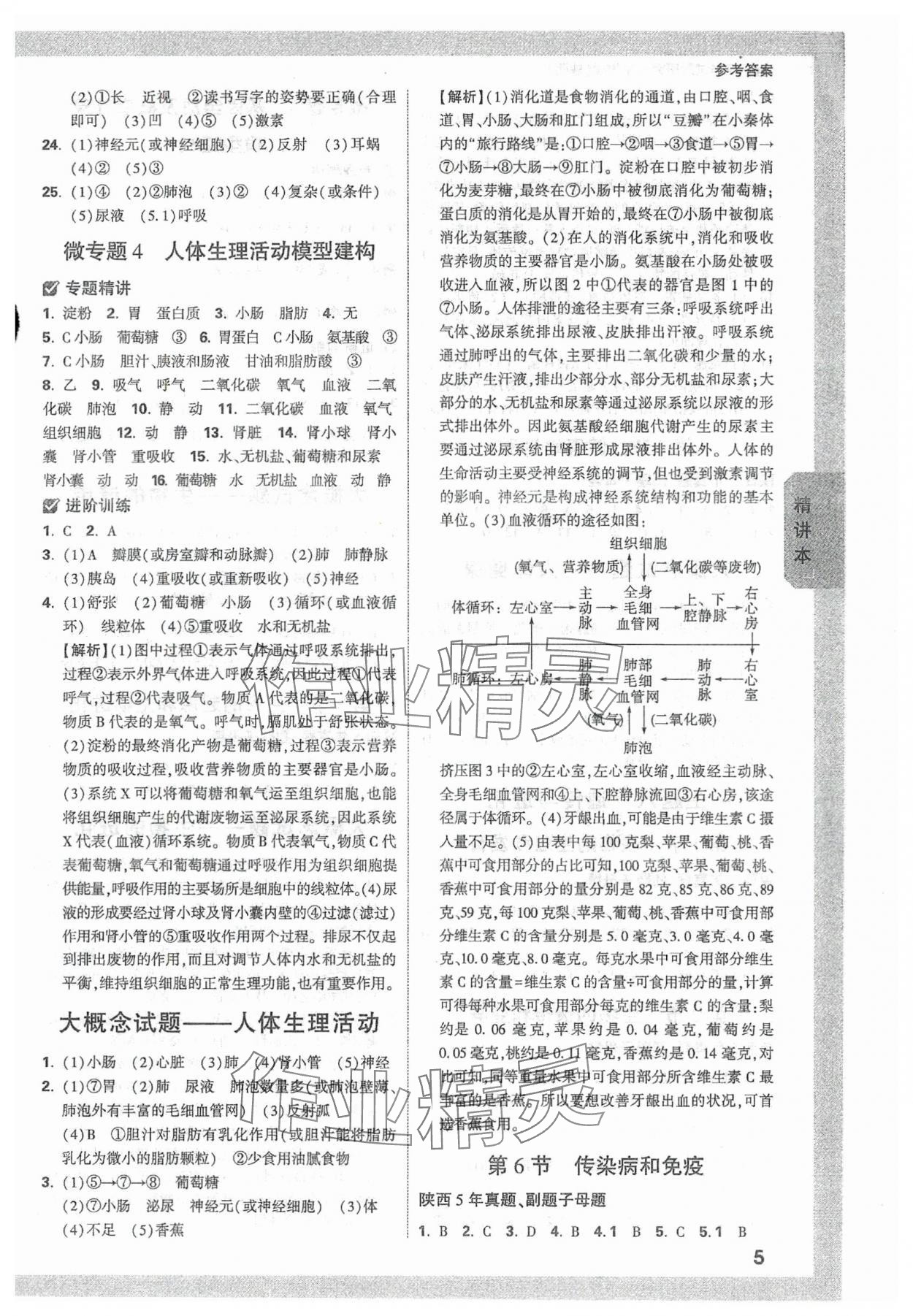 2024年萬(wàn)唯中考試題研究八年級(jí)生物全一冊(cè)人教版陜西專版 參考答案第5頁(yè)