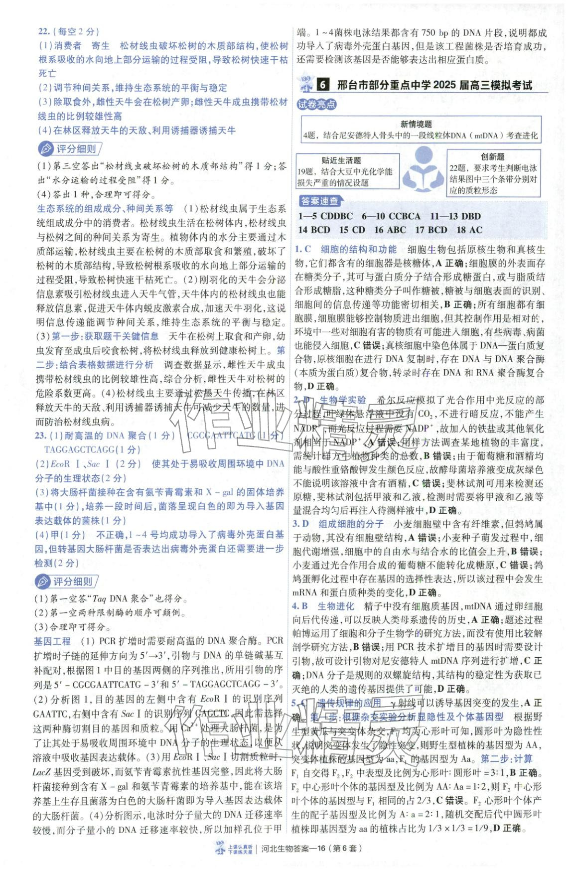 2026年金考卷优秀模拟试卷汇编45套高中生物河北专版 第16页
