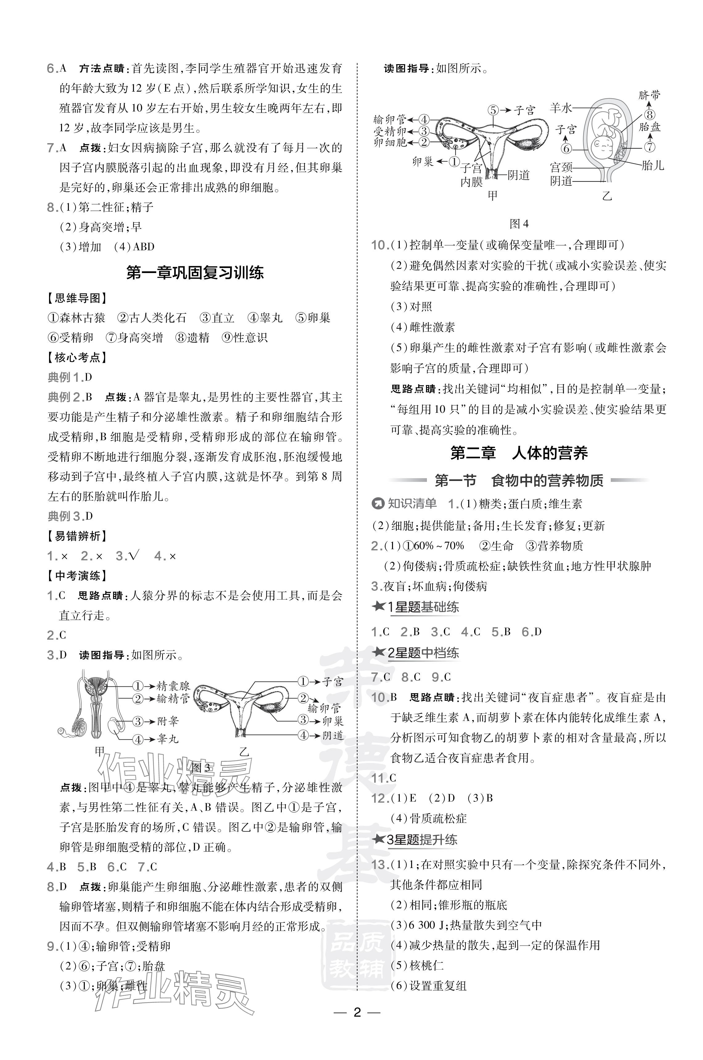 2024年點撥訓練七年級生物下冊人教版 參考答案第2頁