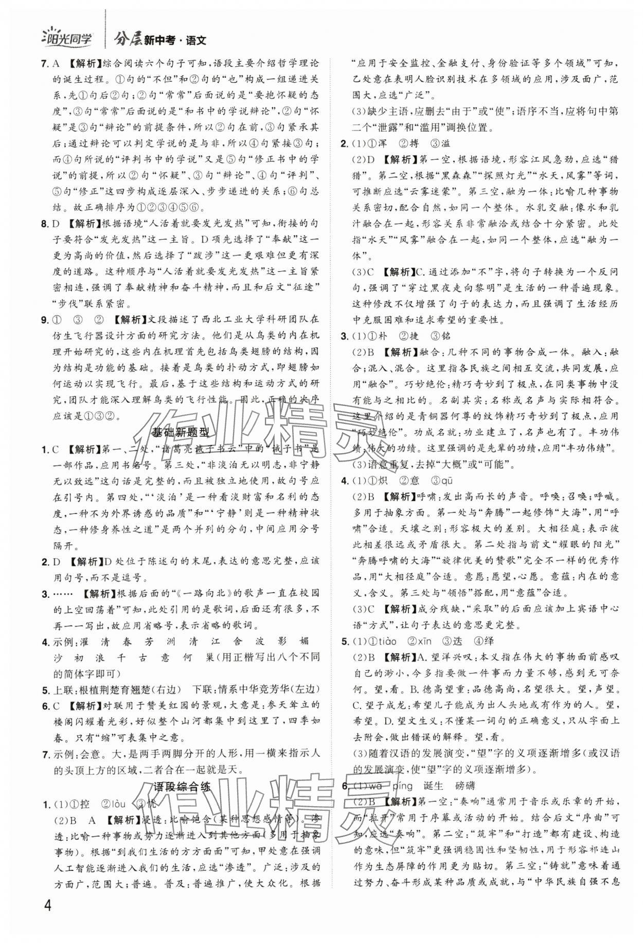 2025年陽光同學(xué)分層新中考語文福建專版 參考答案第4頁