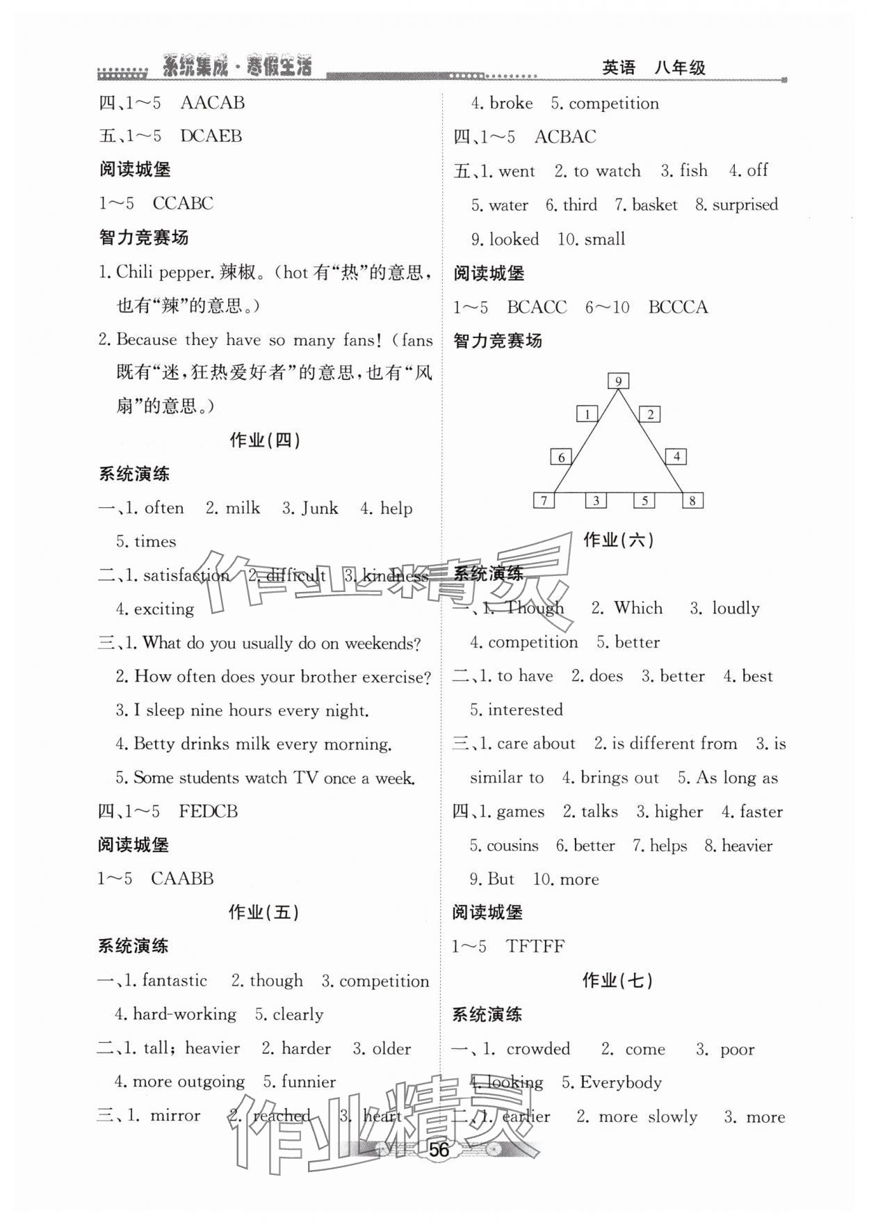 2025年系统集成寒假生活北京师范大学出版社八年级英语 第2页