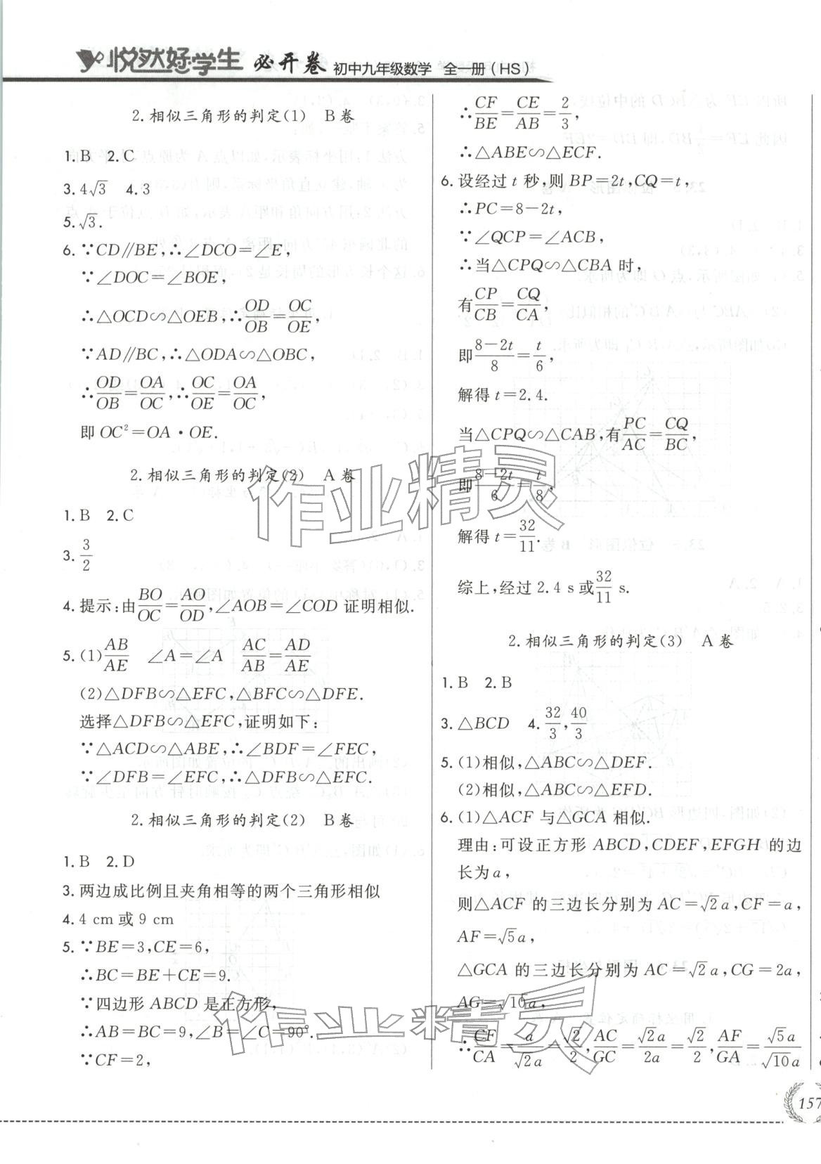 2025年悦然好学生必开卷九年级数学全一册华师大版长春专版 第17页
