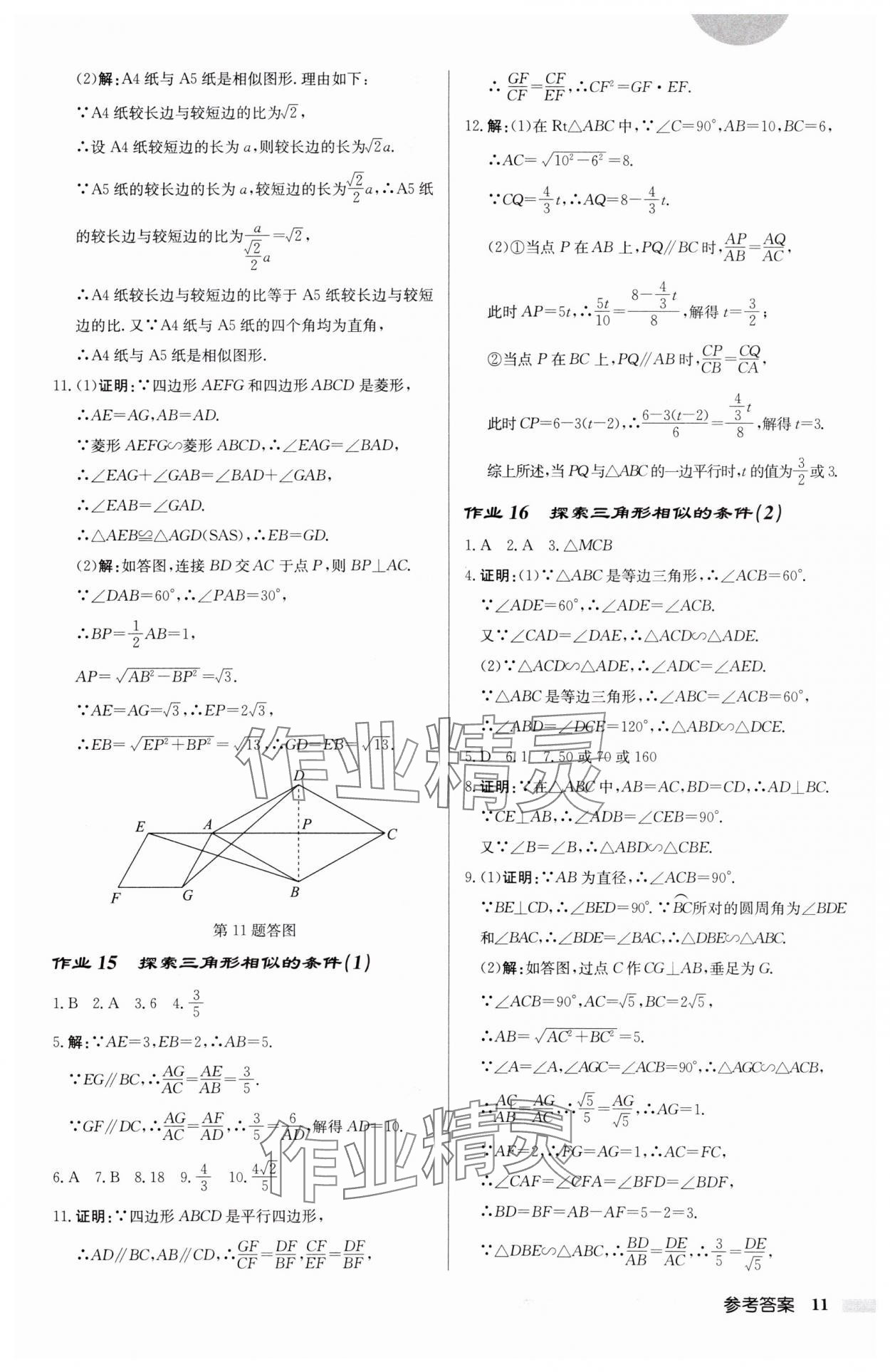 2025年启东中学作业本九年级数学下册苏科版盐城专版 参考答案第11页