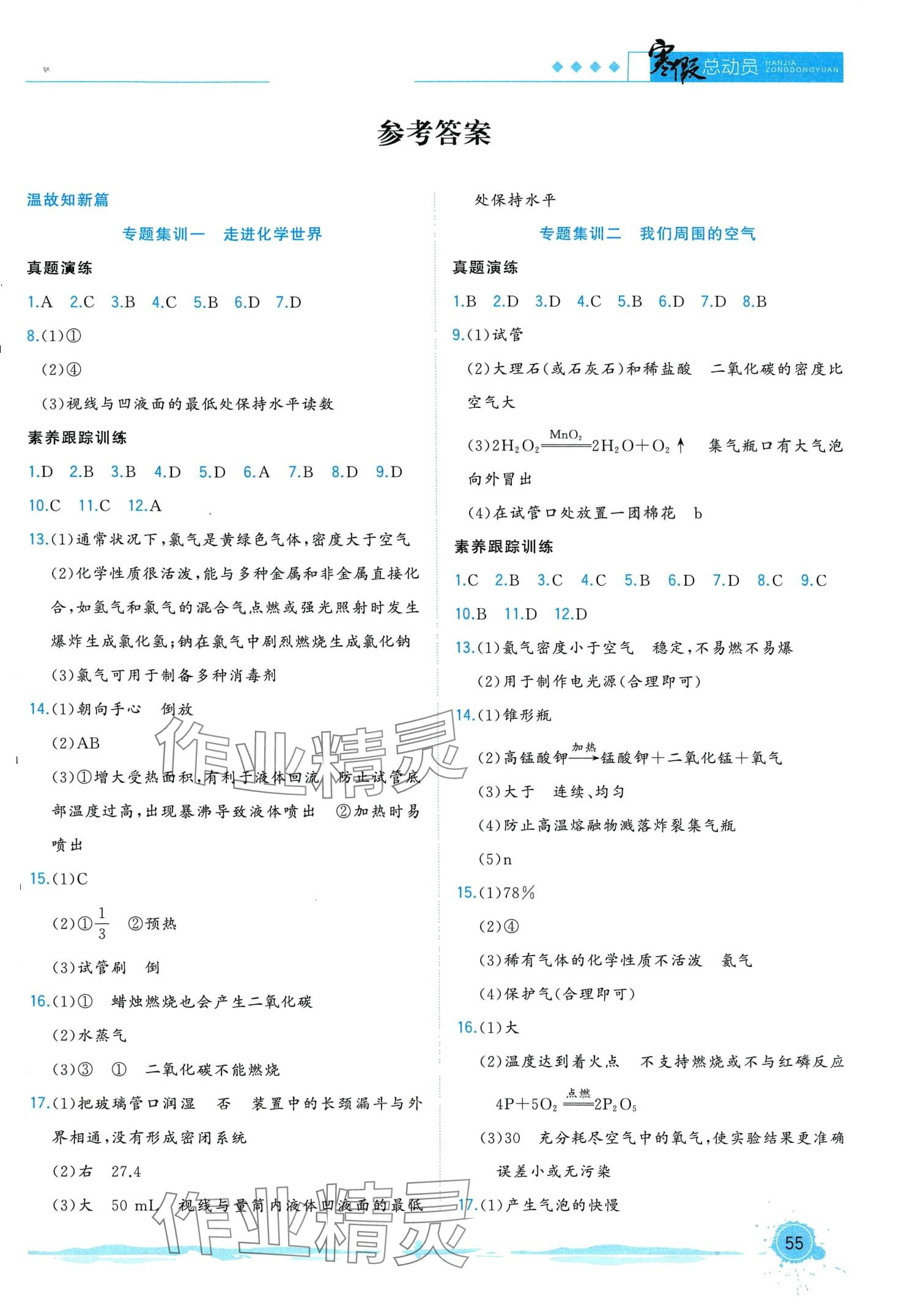 2024年寒假总动员合肥工业大学出版社九年级化学人教版 第1页