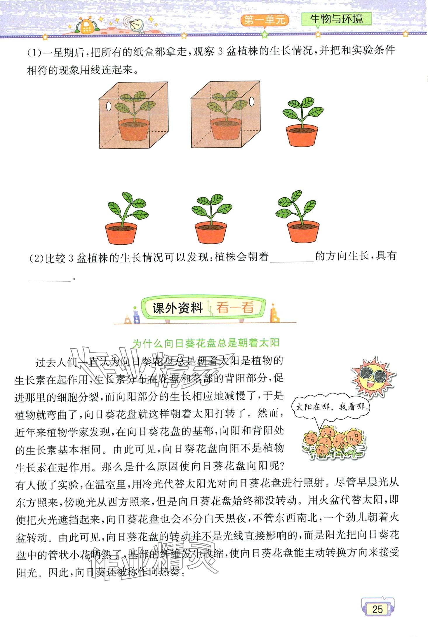 2024年教材课本五年级科学下册教科版 第25页