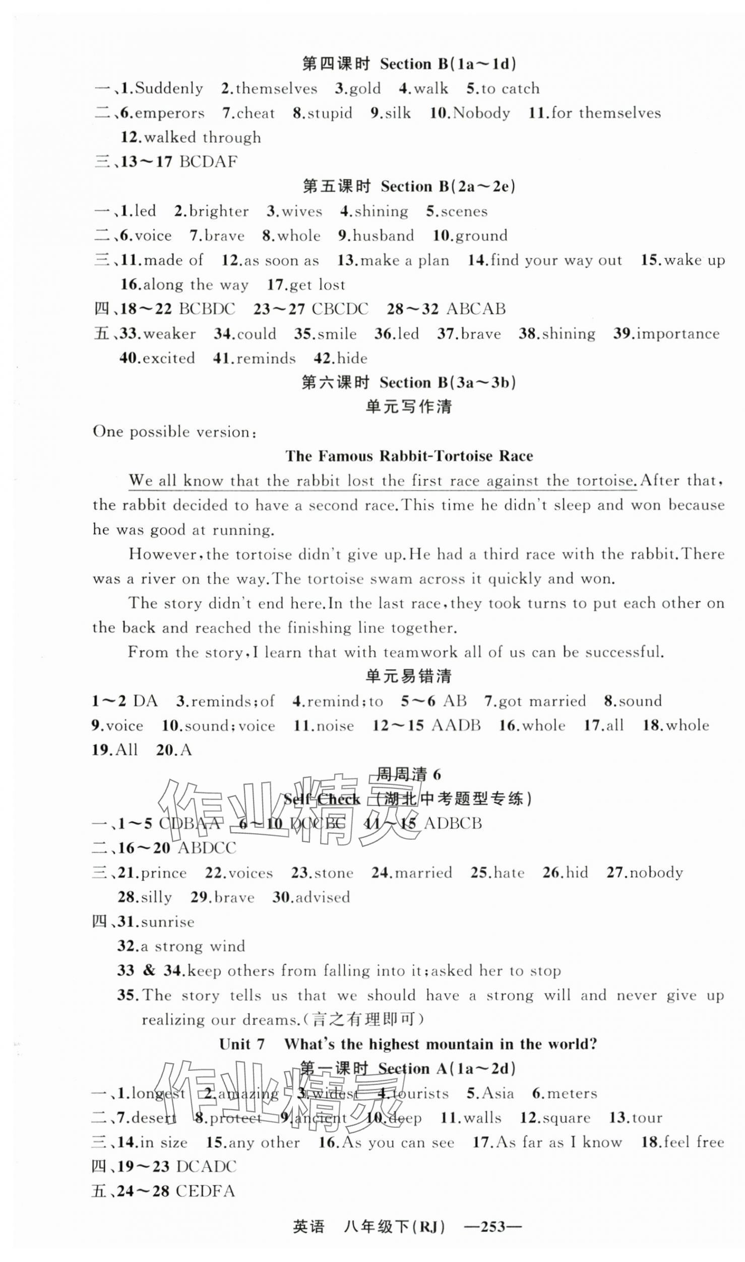 2025年四清導航八年級英語下冊人教版湖北專版&nbsp;第9頁