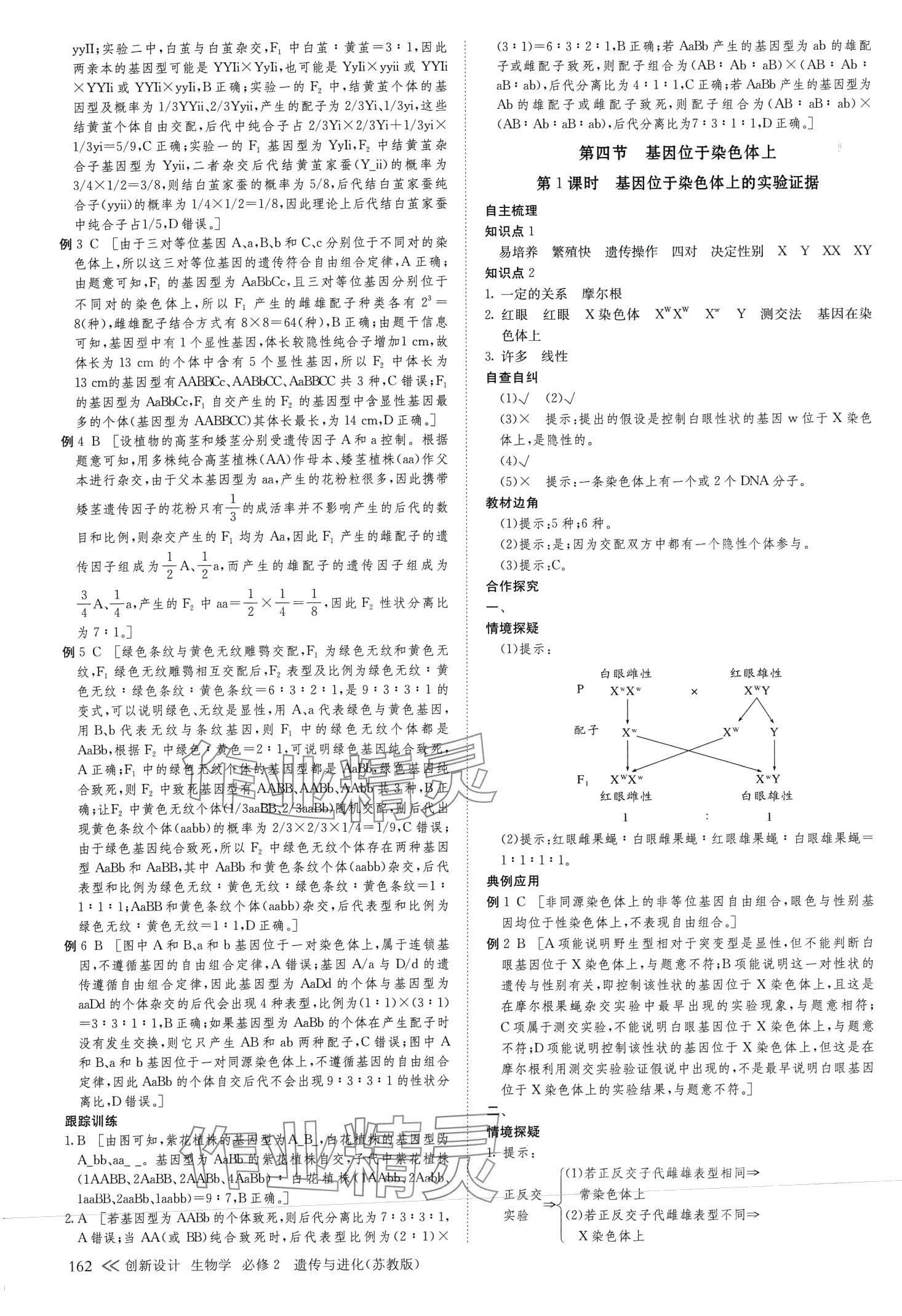 2024年創(chuàng)新設(shè)計(jì)高中生物必修2蘇教版 第13頁