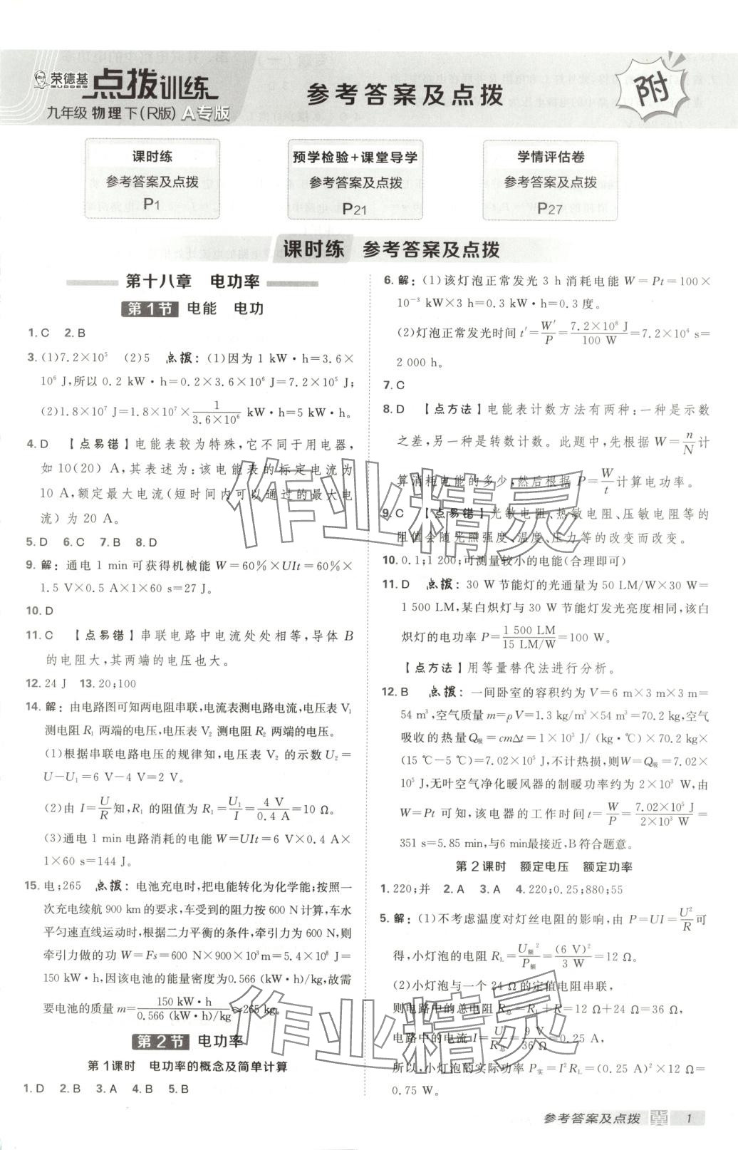 2025年点拨训练九年级物理下册人教版河北专版 第1页