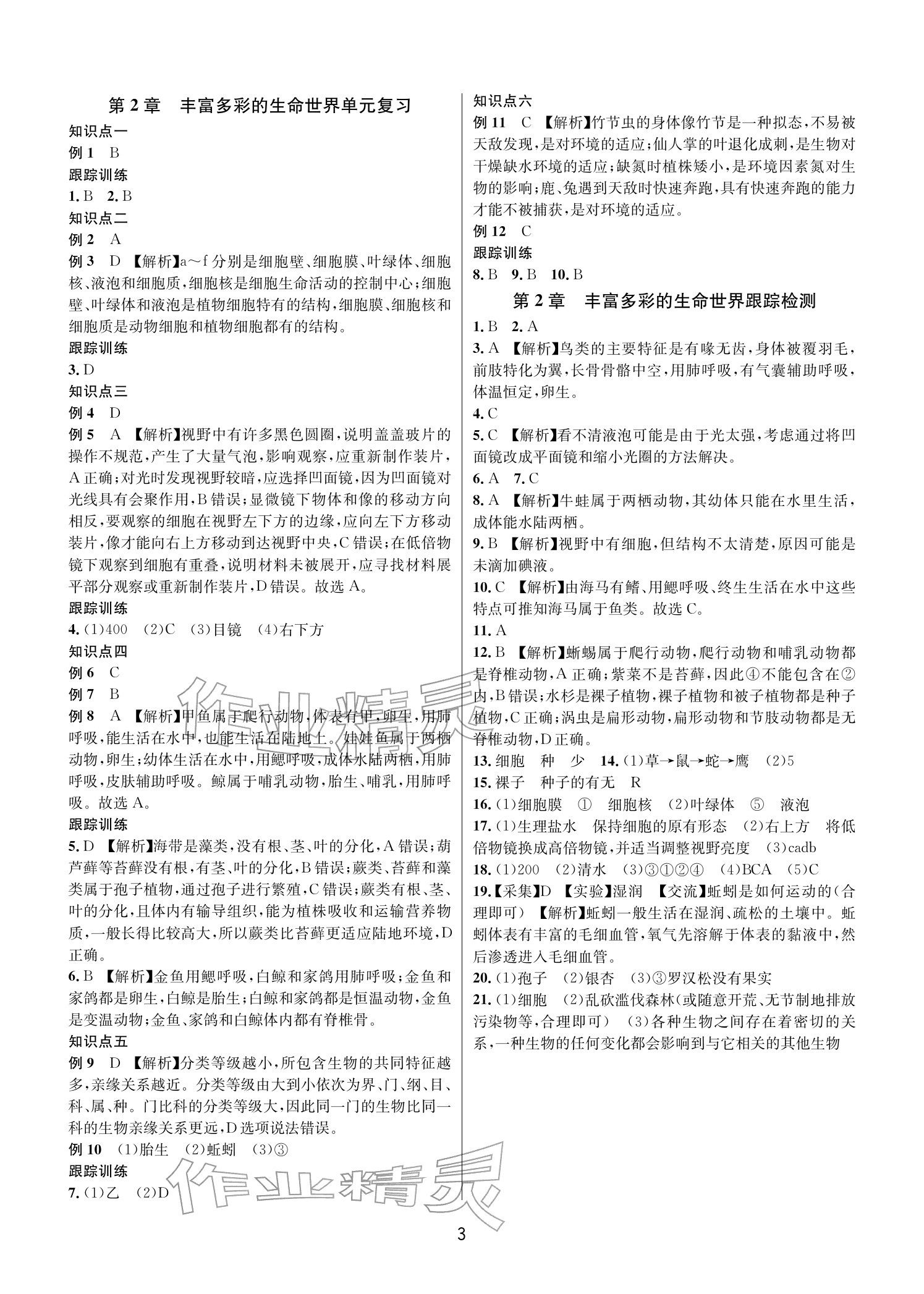 2025年各地期末名卷精选七年级科学上册浙教版&nbsp;参考答案第2页