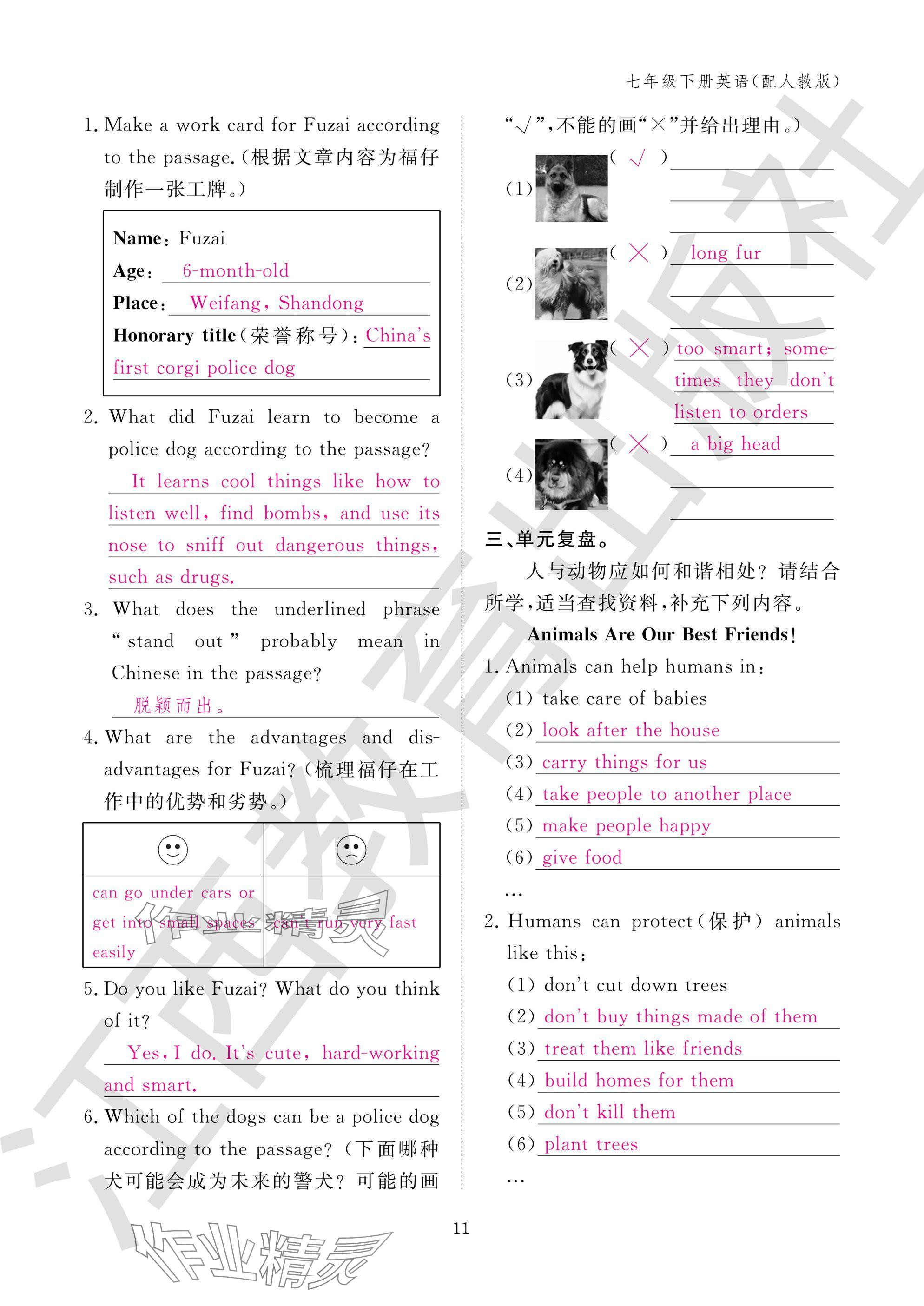 2025年作业本江西教育出版社七年级英语下册人教版 参考答案第11页