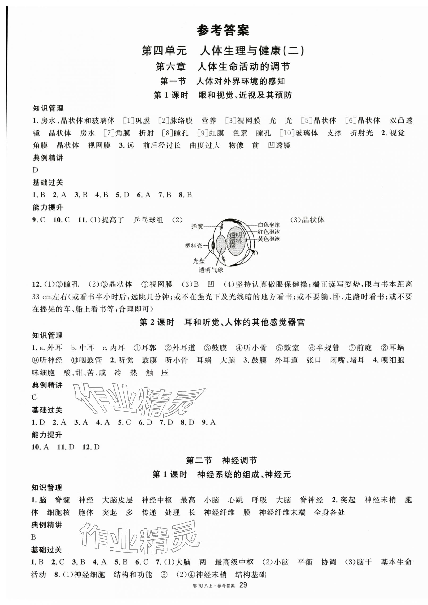 2025年名校课堂八年级生物上册人教版湖北专版 第1页