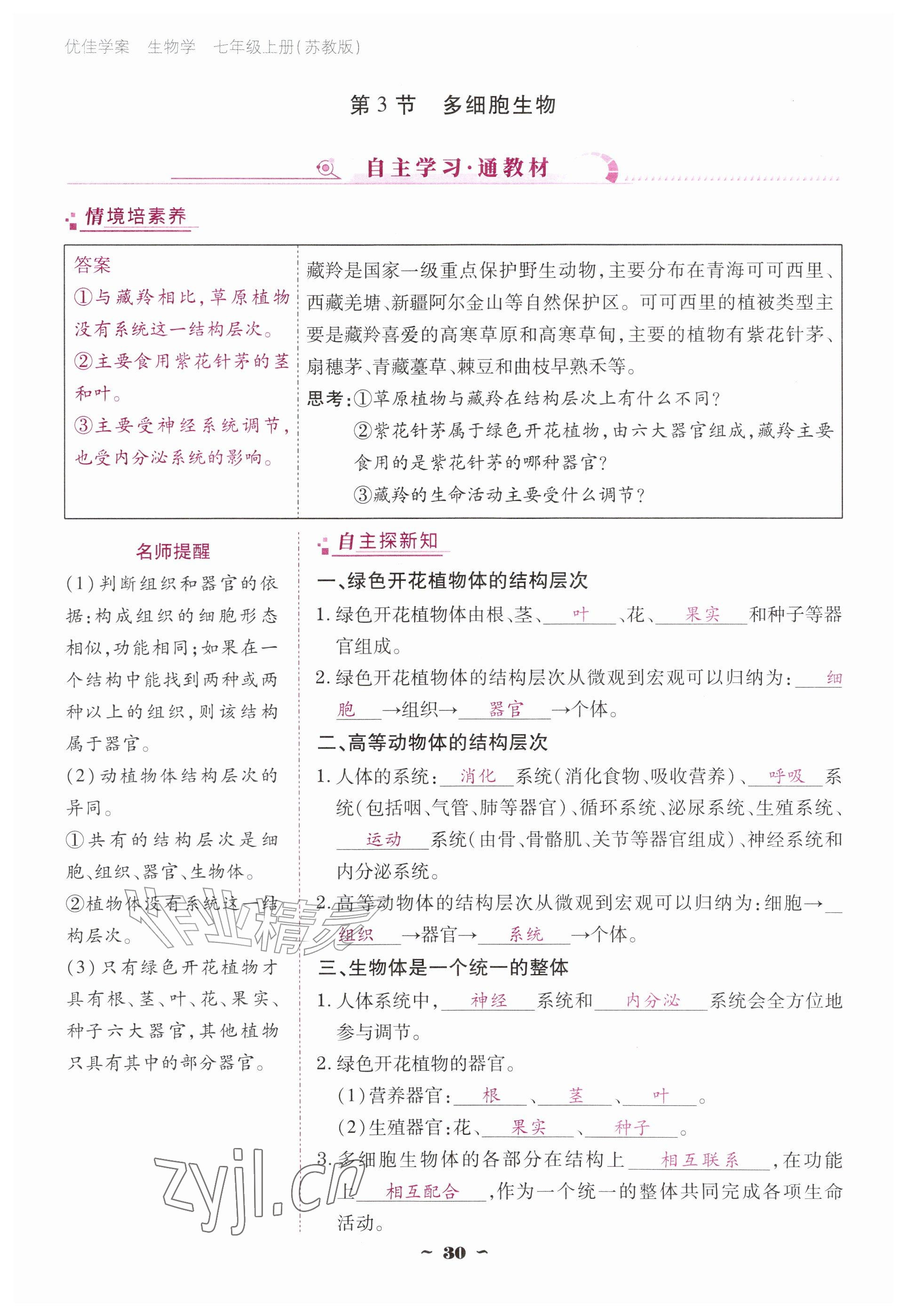 2026年云南省标准教辅优佳学案七年级历史上册人教版&nbsp;参考答案第30页