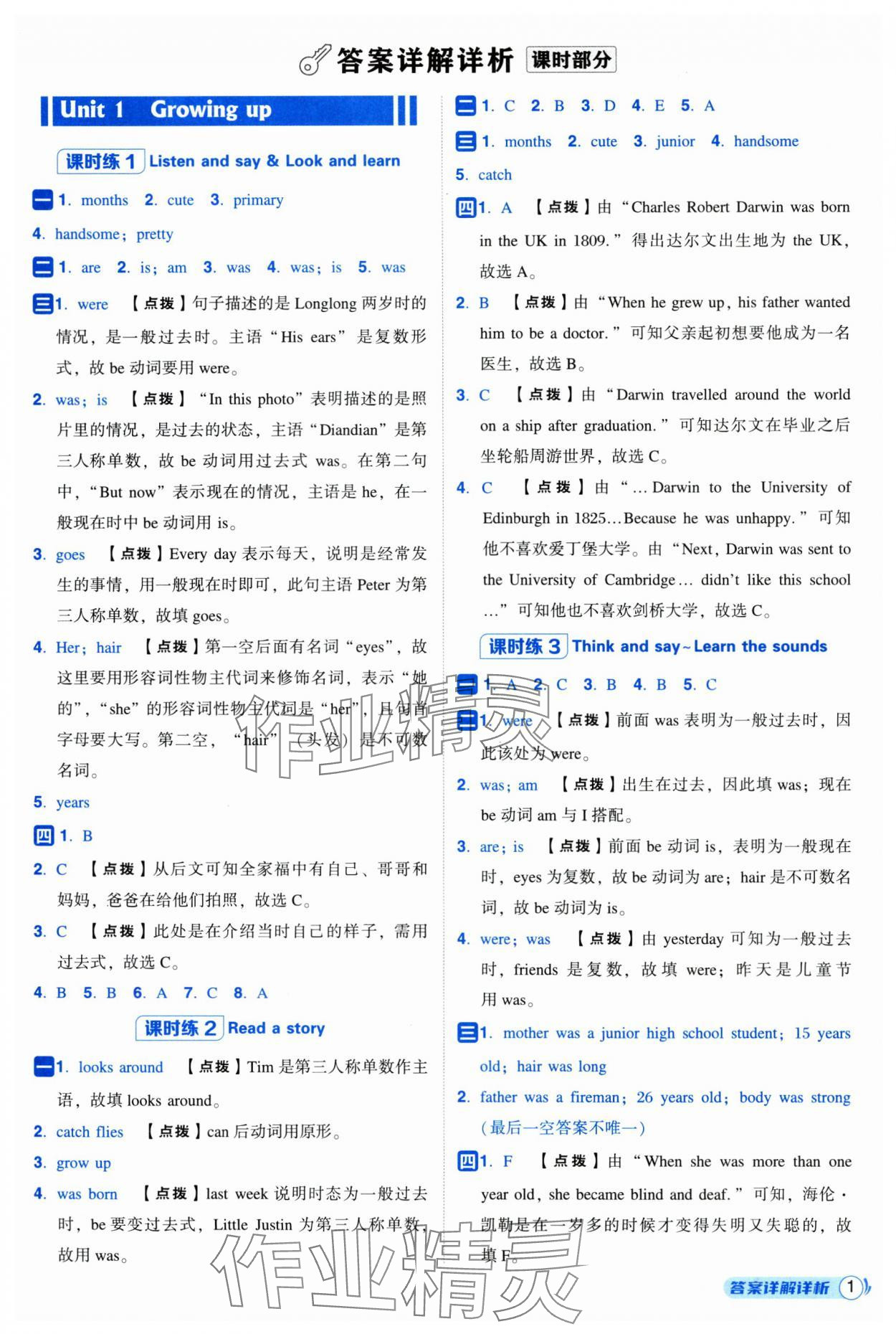 2025年綜合應用創新題典中點六年級英語上冊滬教版 第1頁