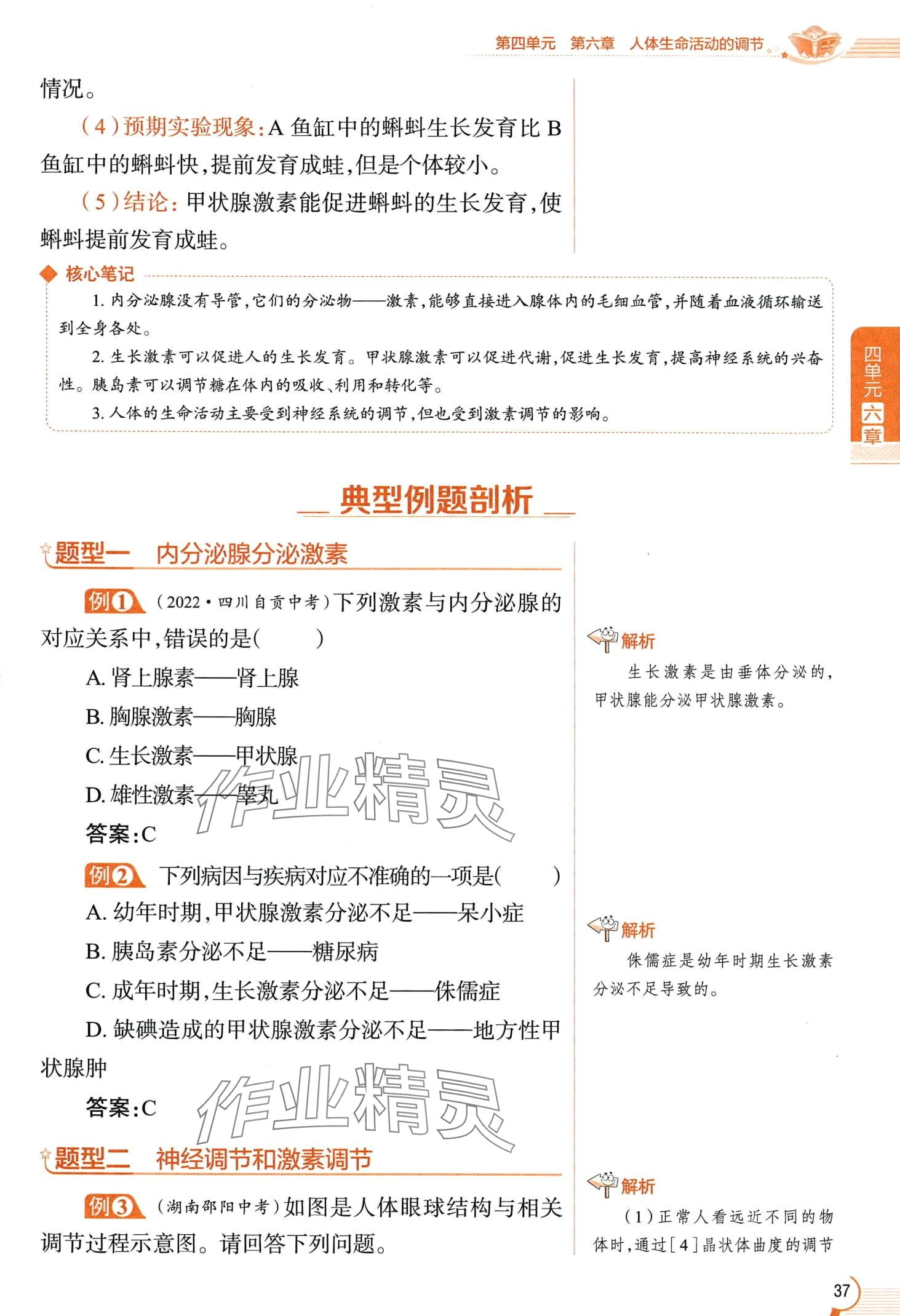 2024年教材课本七年级生物下册鲁科版&nbsp;第37页