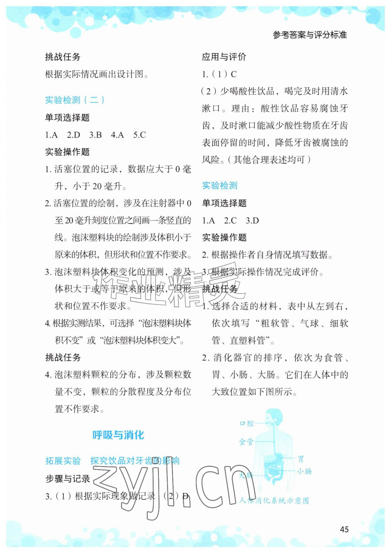 2026年小学科学实验与检测四年级科学上册教科版&nbsp;参考答案第2页
