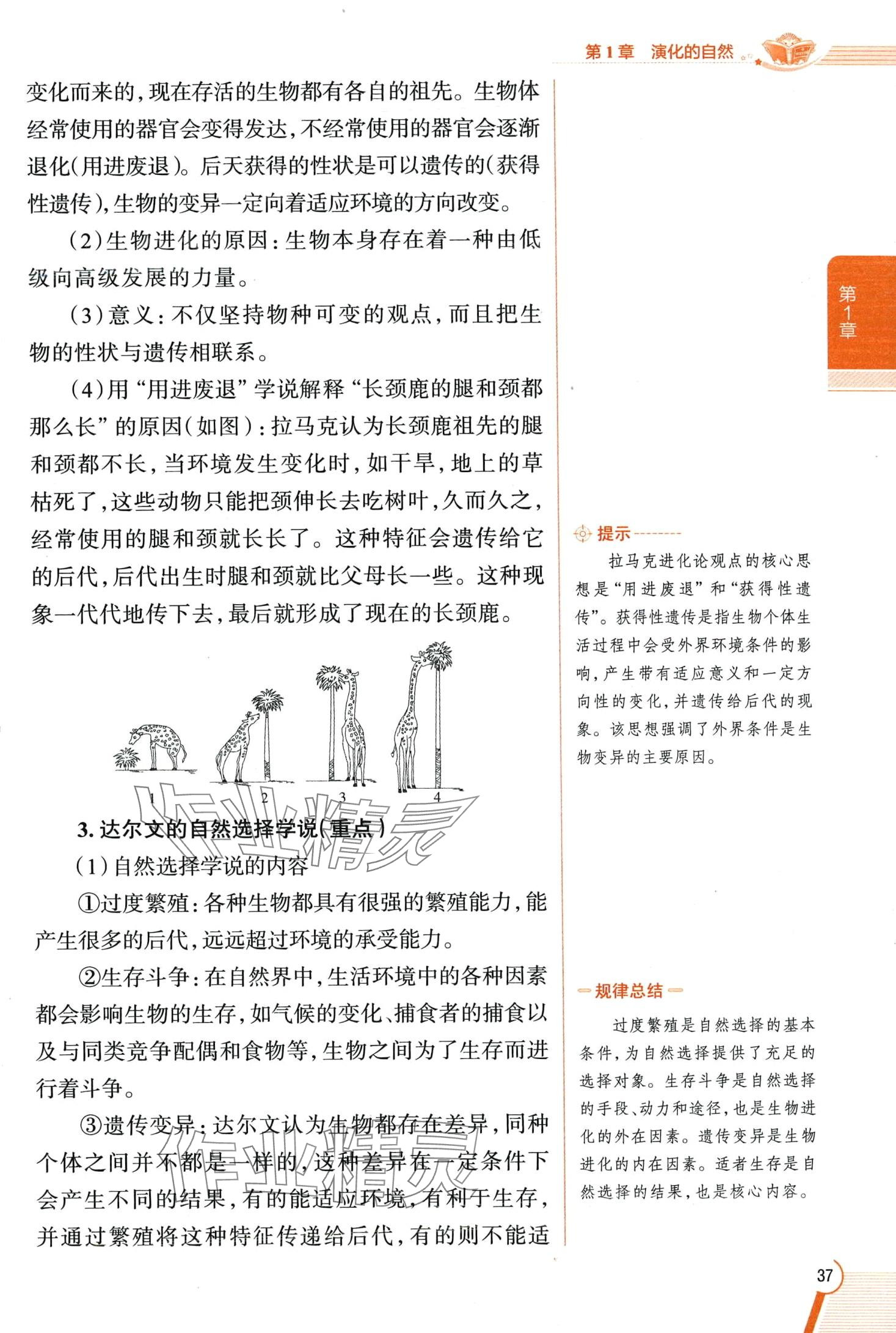 2024年教材全解九年級科學下冊浙教版 第37頁