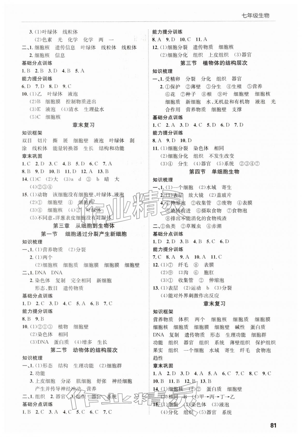 2025年高效通教材精析精练七年级生物上册人教版 参考答案第2页
