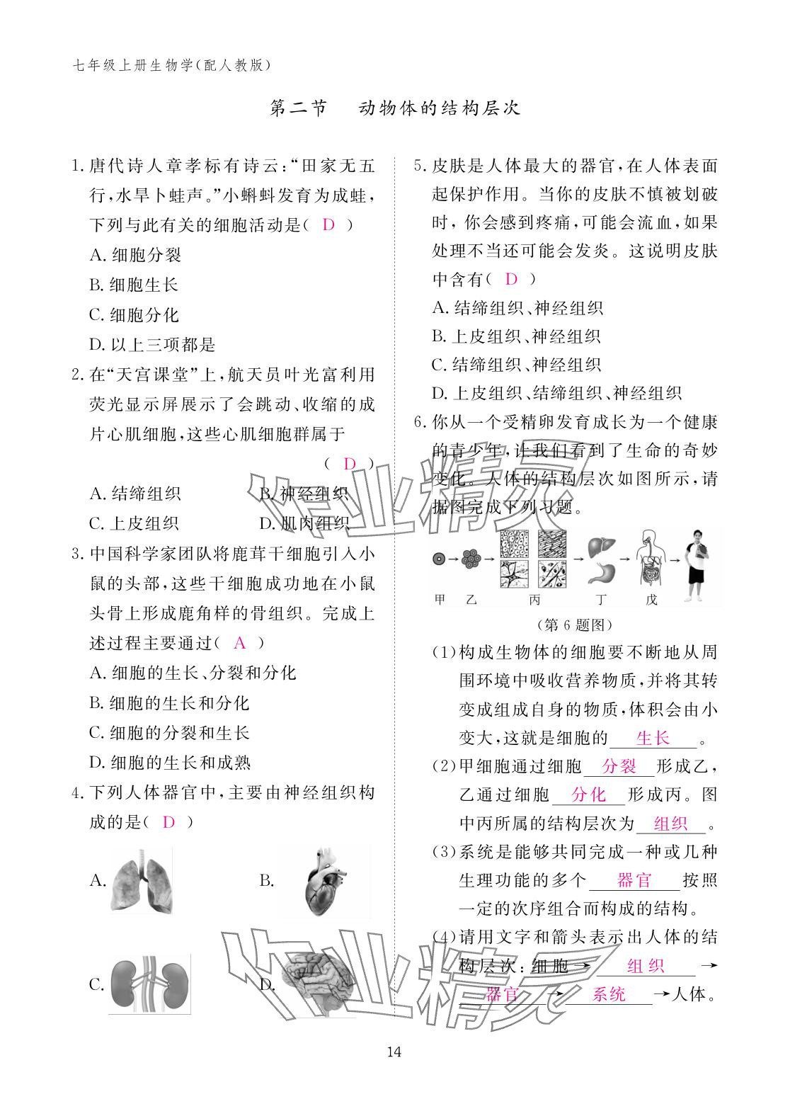 2025年作业本江西教育出版社七年级生物上册人教版 参考答案第14页
