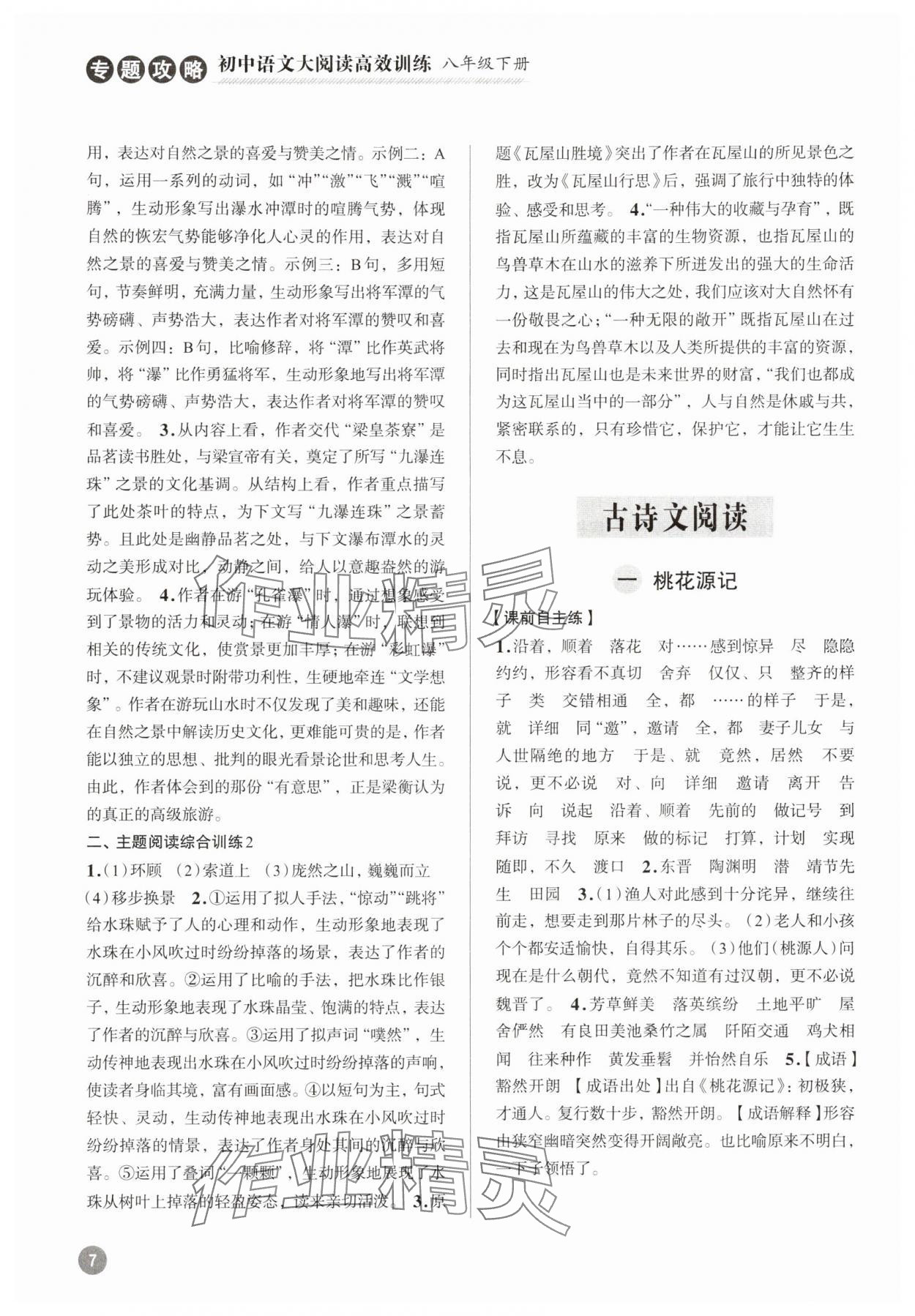 2025年初中語(yǔ)文大閱讀高效訓(xùn)練八年級(jí)下冊(cè) 參考答案第7頁(yè)