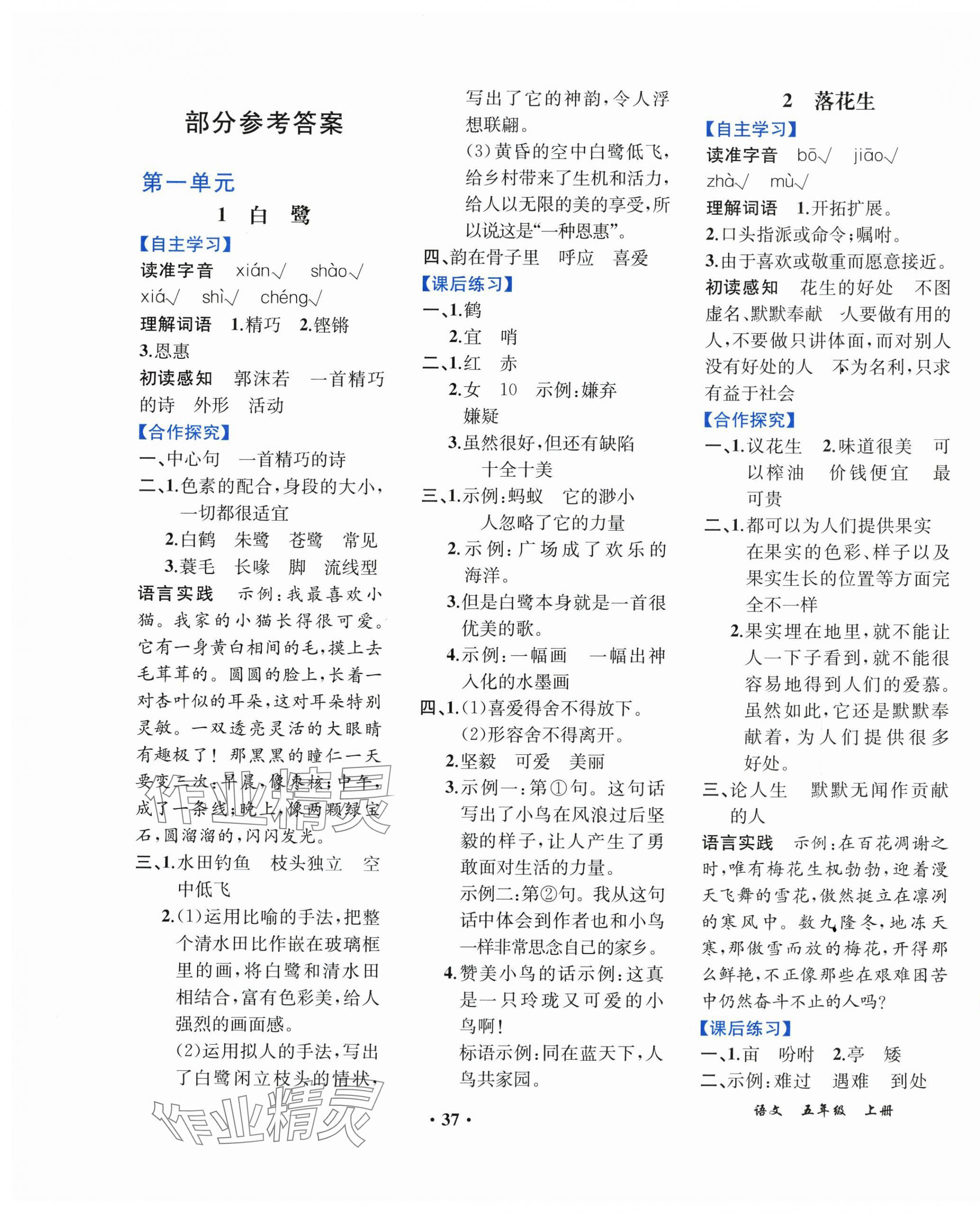 2025年胜券在握同步解析与测评五年级语文上册人教版重庆专版 第1页