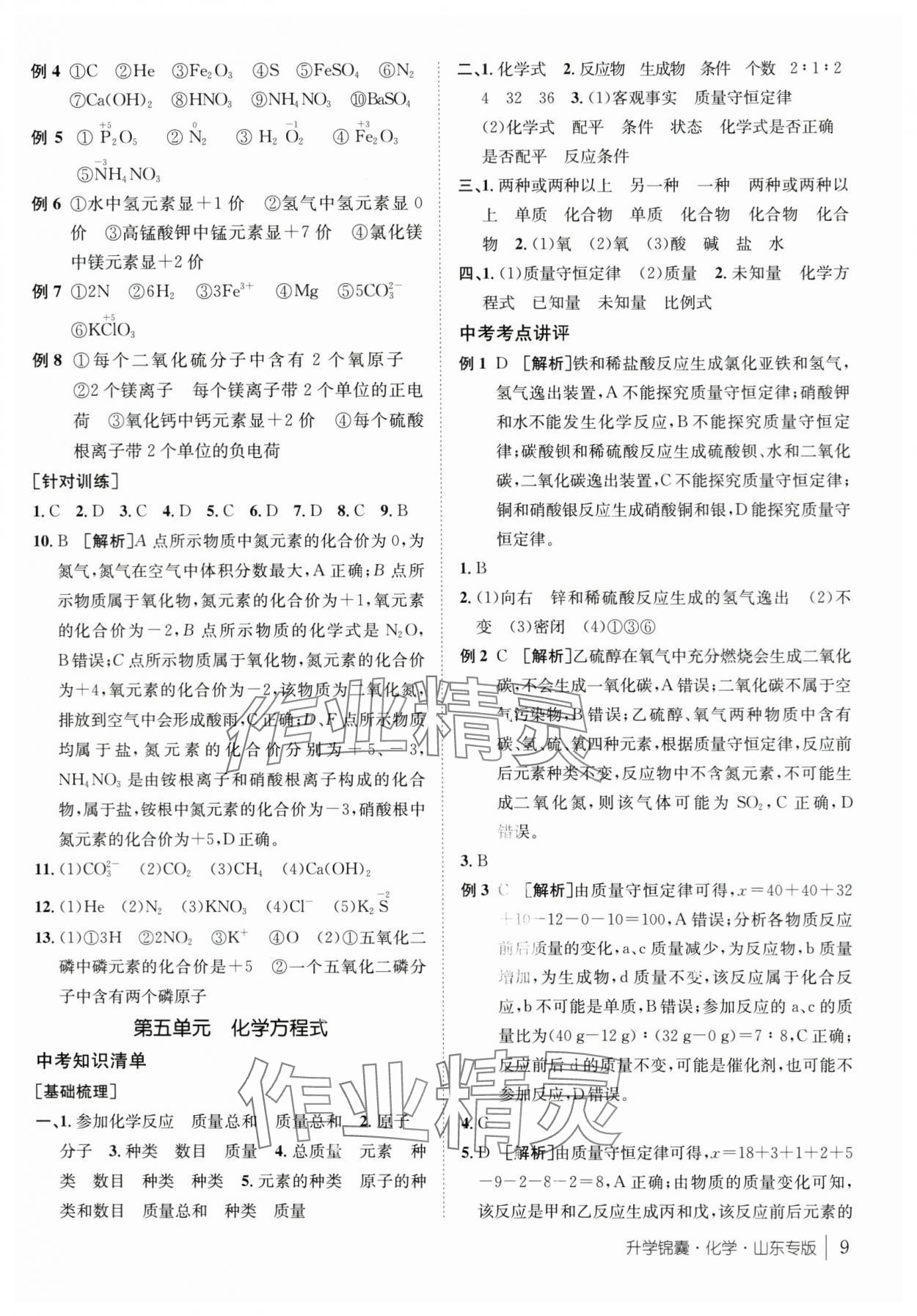 2024年升學(xué)錦囊化學(xué)山東專版 第9頁