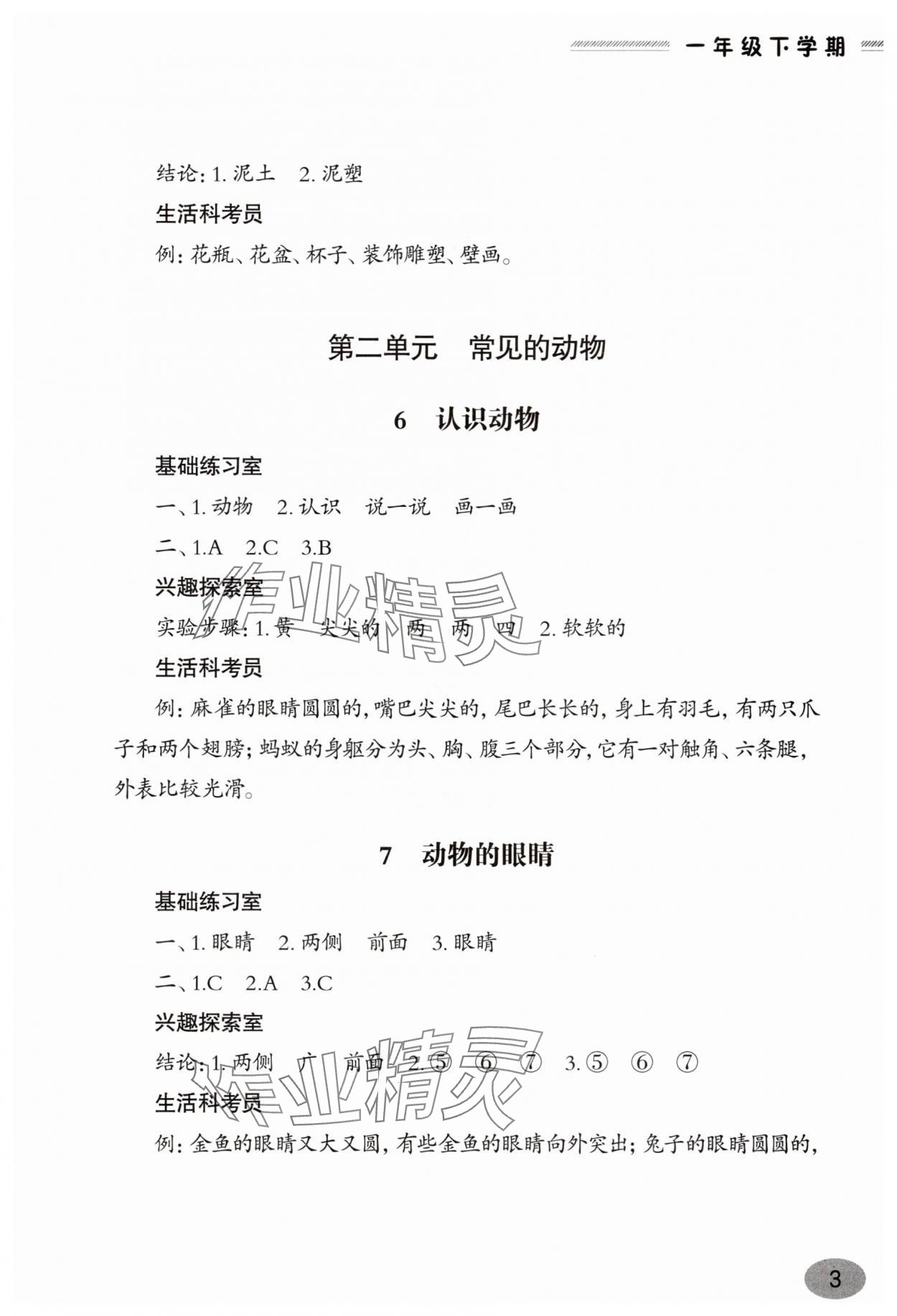 2025年新課堂學習與探究一年級科學下冊青島版 參考答案第3頁