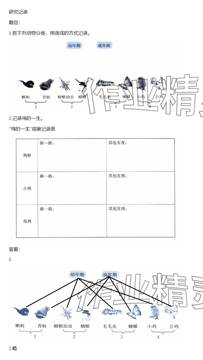 2024年同步實踐評價課程基礎(chǔ)訓練三年級科學下冊教科版 參考答案第116頁