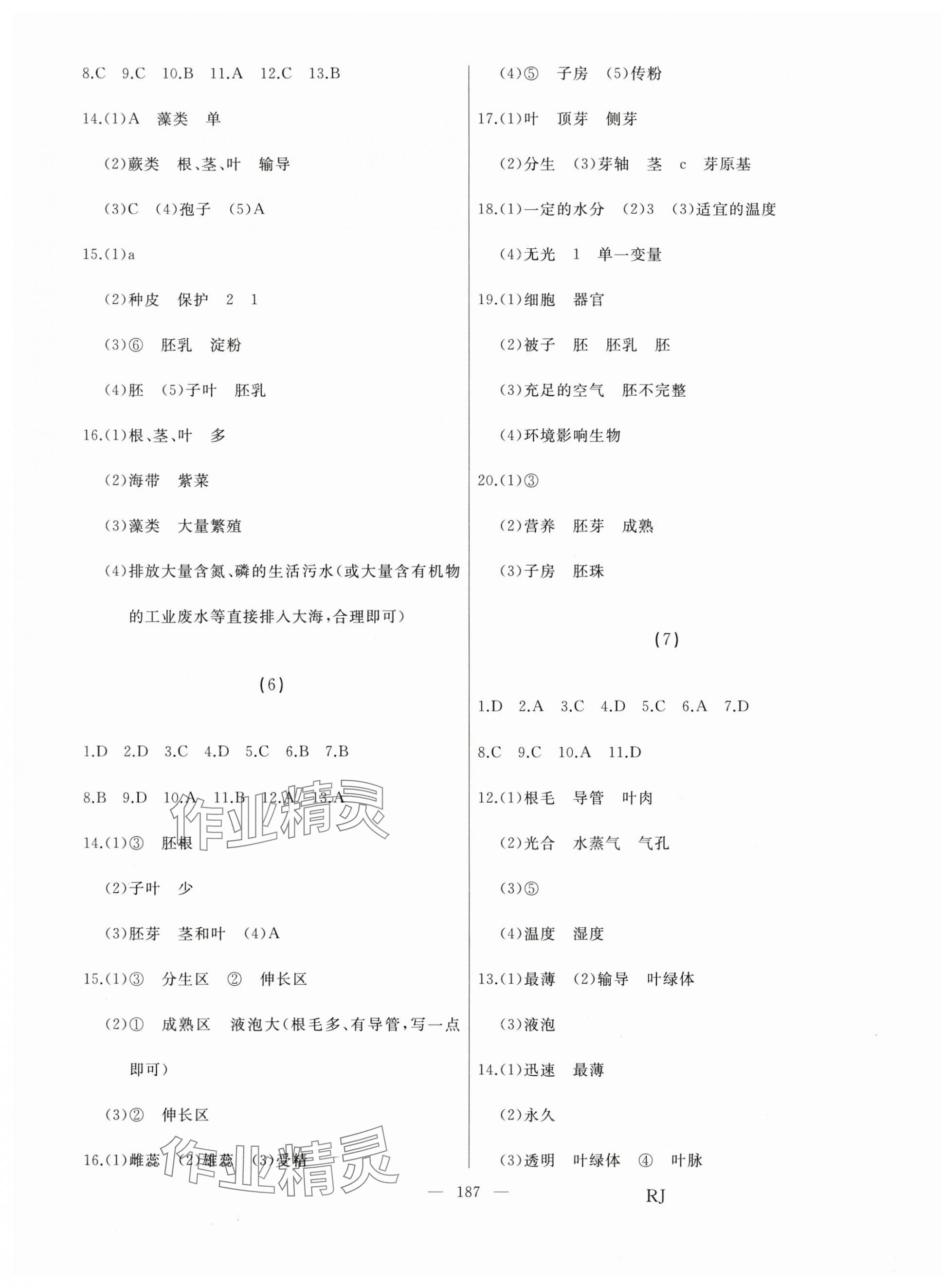 2025年总复习测试中考生物 第3页