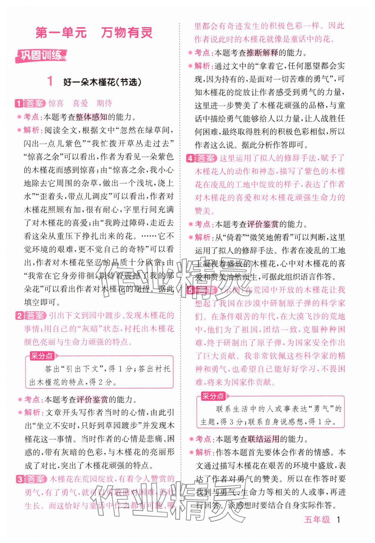 2025年阳光同学同步阅读素养测试五年级语文上册人教版 第1页