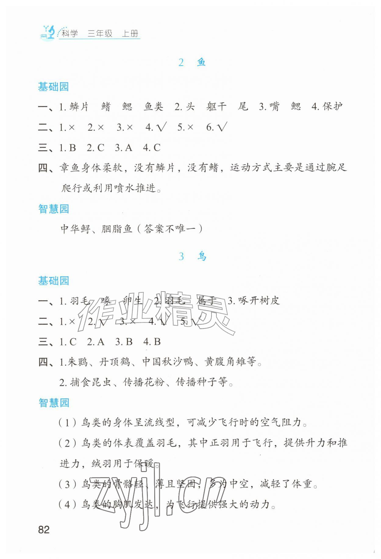 2026年三维智慧学习三年级科学上册青岛版&nbsp;第2页