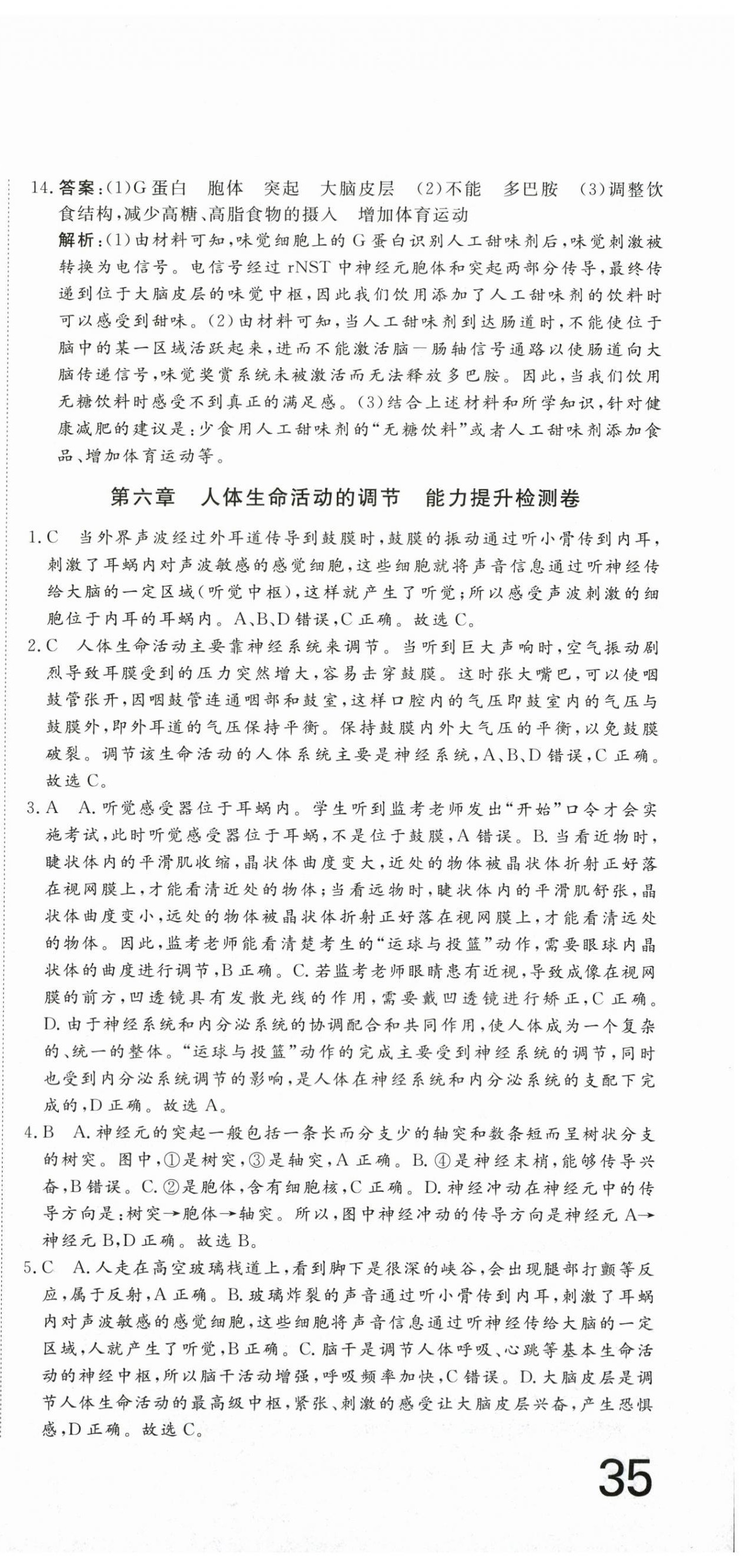 2025年核心素養學練評八年級生物上冊人教版 第3頁