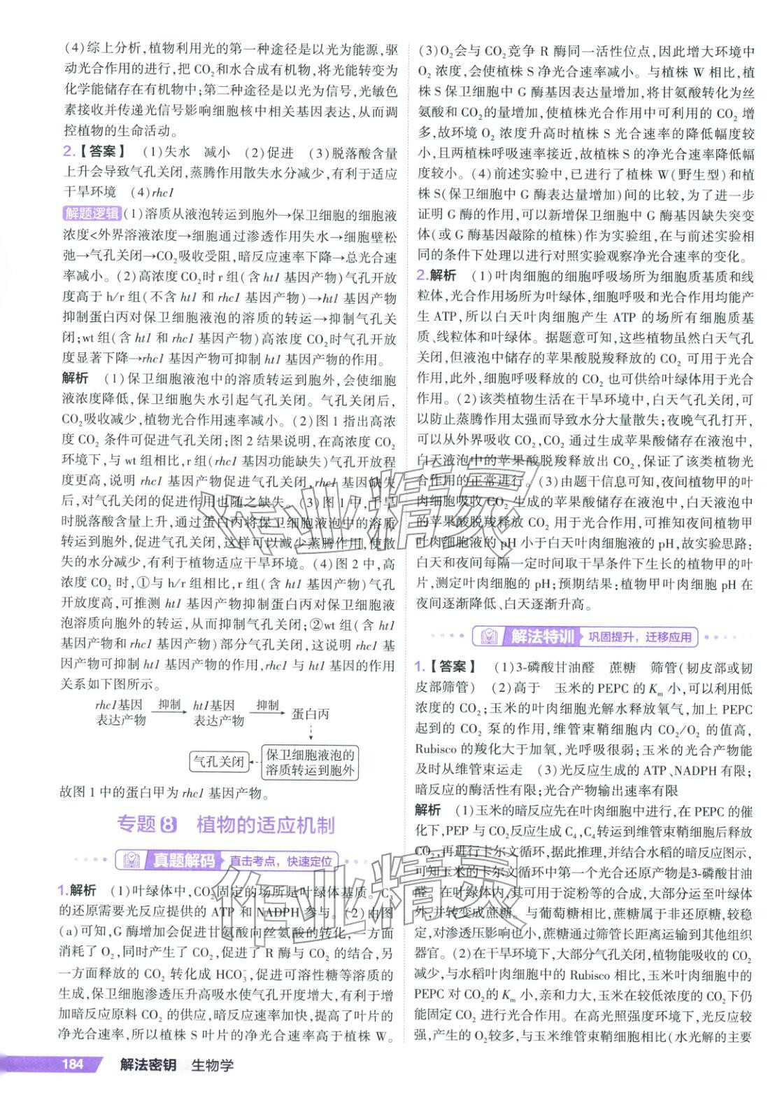 2026年53解法密钥高考生物 第6页