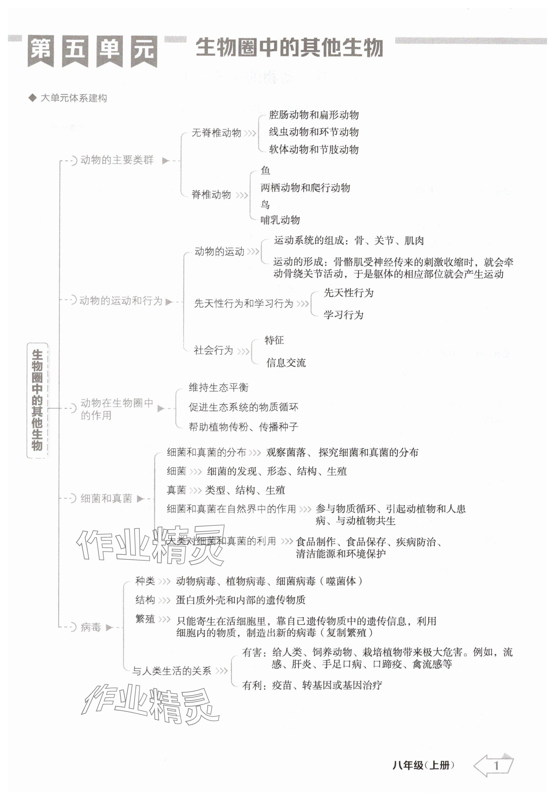 2024年金牌學(xué)練測(cè)八年級(jí)生物上冊(cè)人教版 參考答案第1頁(yè)