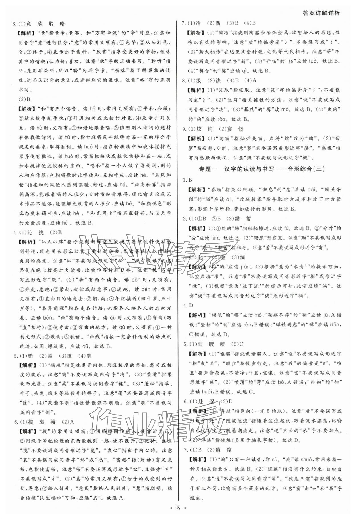 2024年浙派名师中考方略分类集训语文中考人教版浙江专版 参考答案第2页
