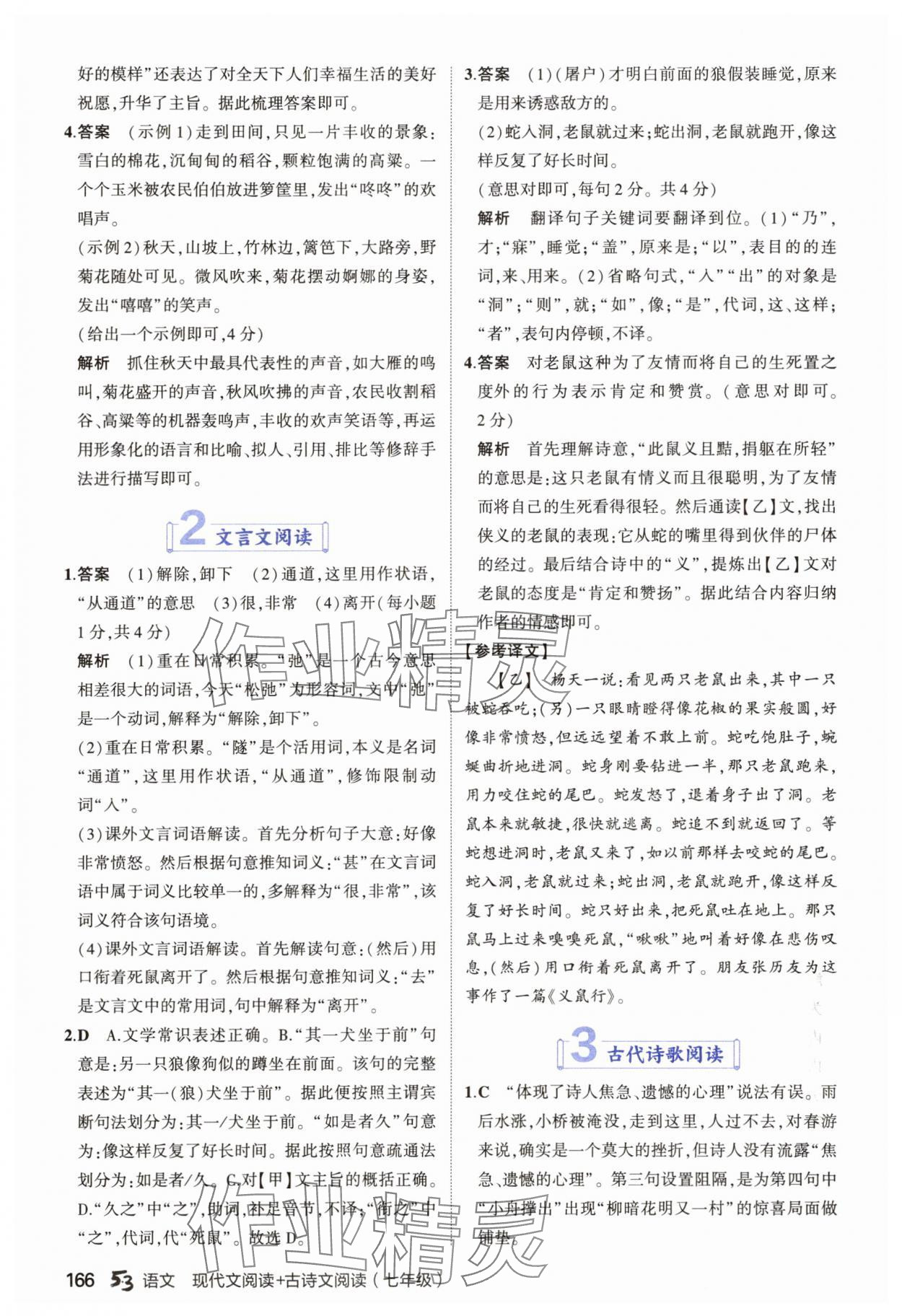 2025年53现代文阅读加古诗文阅读七年级语文全一册通用版&nbsp;第4页