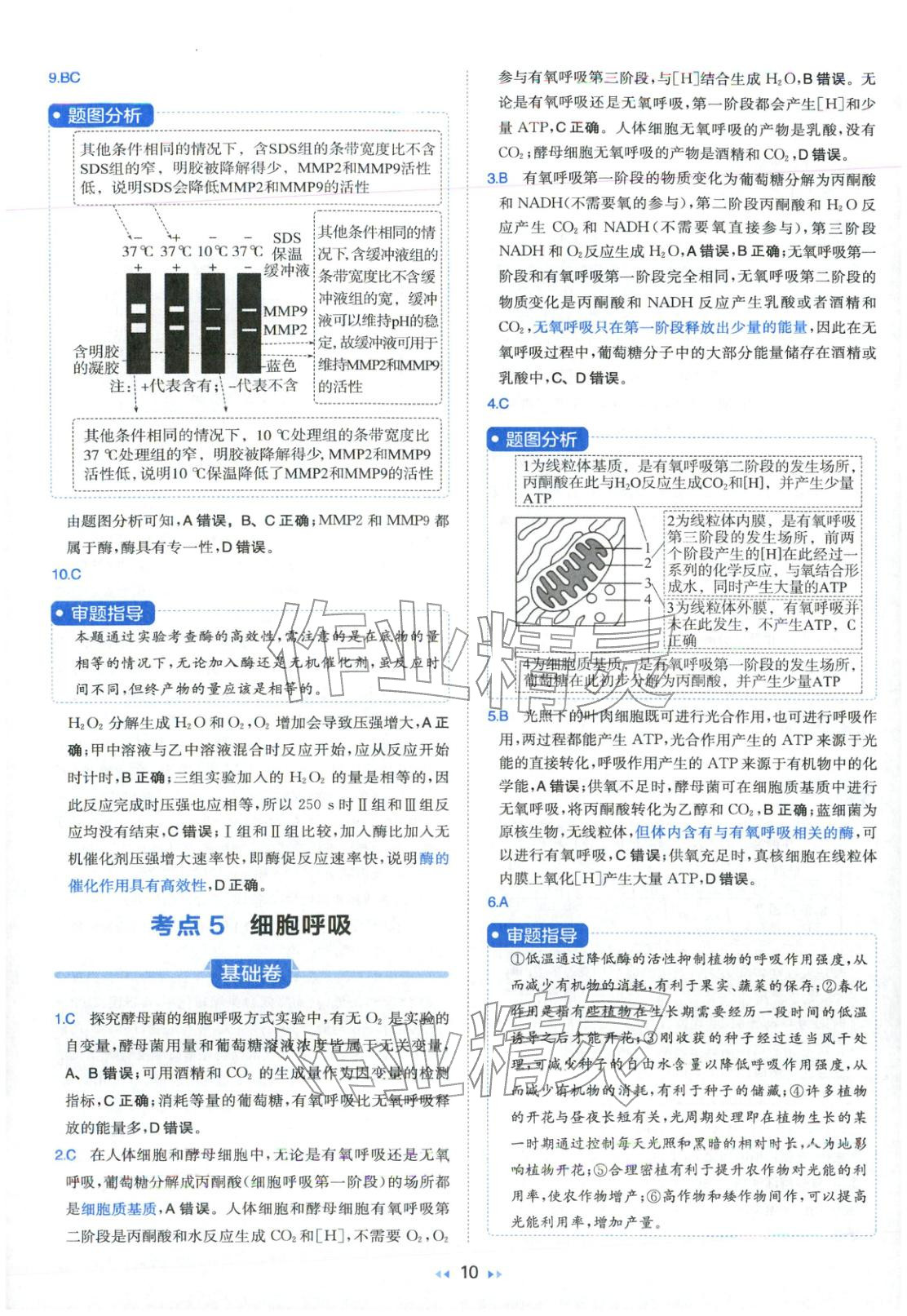 2026年一本真题分类高考生物&nbsp;第10页