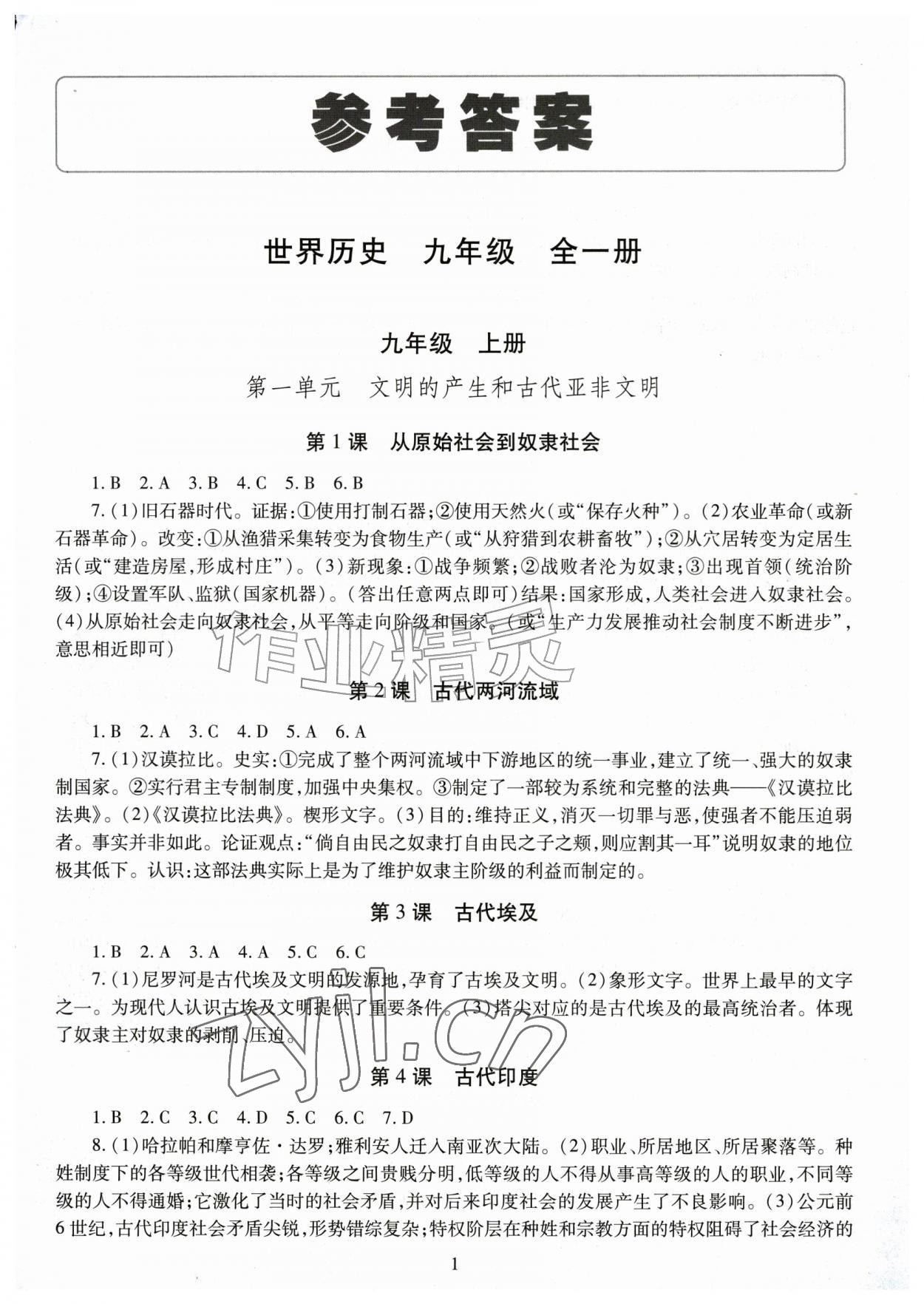 2026年智慧学习导学练九年级历史全一册人教版&nbsp;第1页