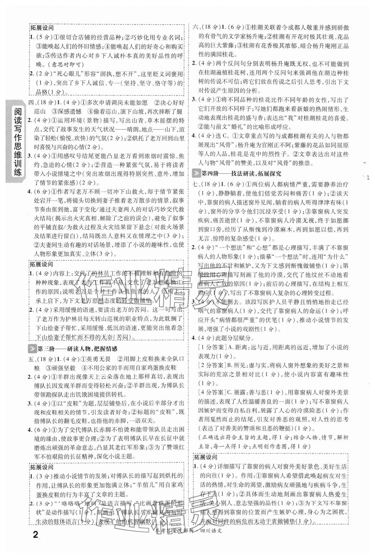 2024年一战成名新中考语文四川专版 第2页