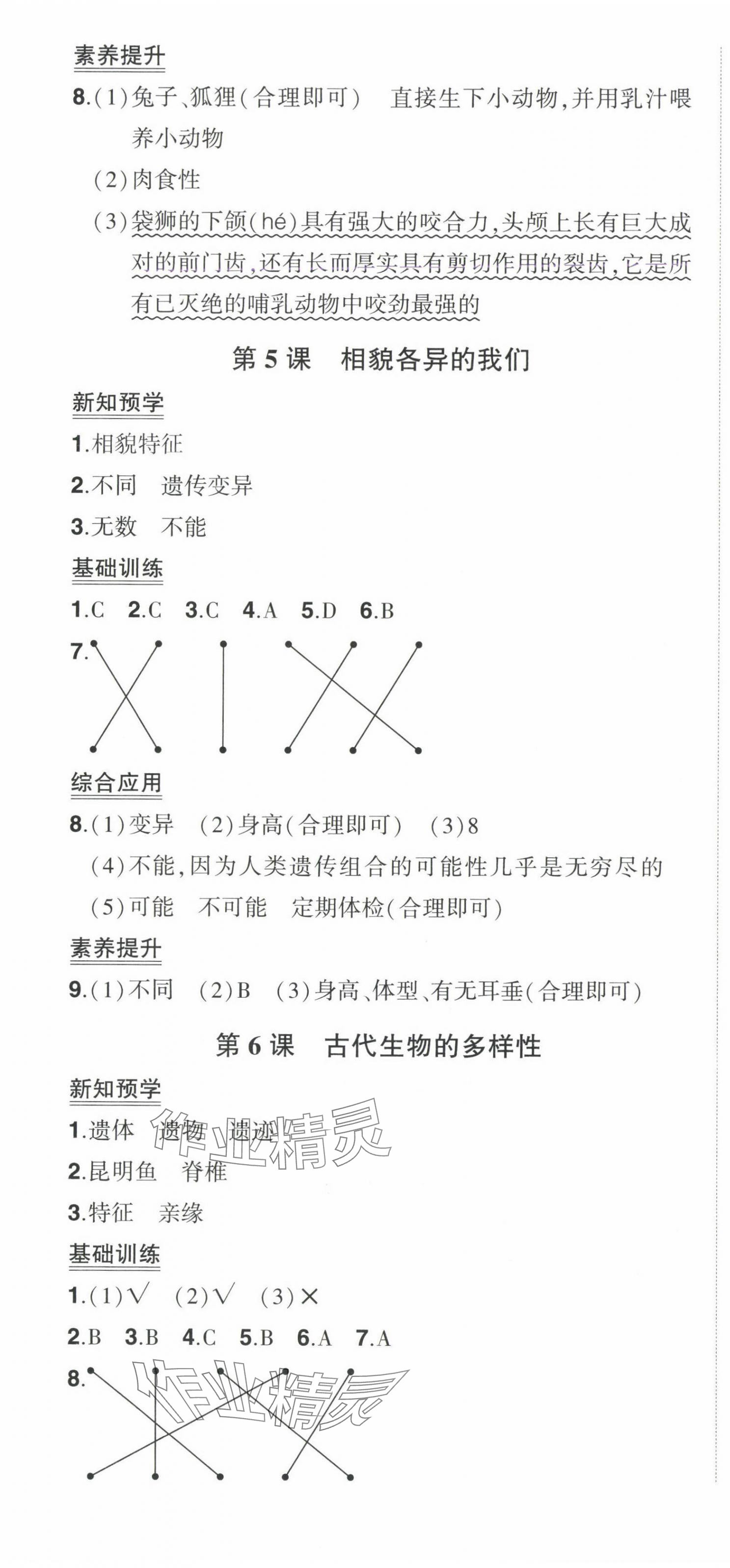 2025年狀元成才路創(chuàng)優(yōu)作業(yè)100分六年級科學下冊教科版 參考答案第7頁