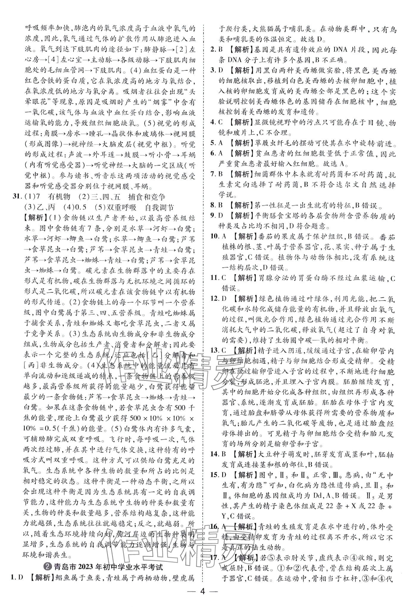 2024年鲁人泰斗中考必备中考试题汇编生物中考&nbsp;第4页