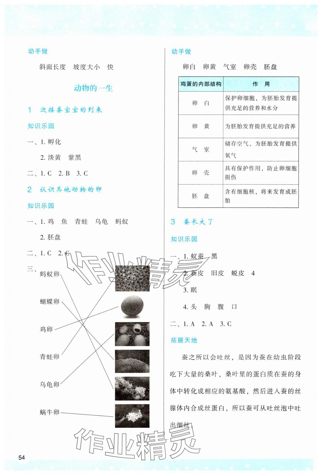 2025年新課程學(xué)習(xí)與評價三年級科學(xué)下冊教科版 參考答案第3頁