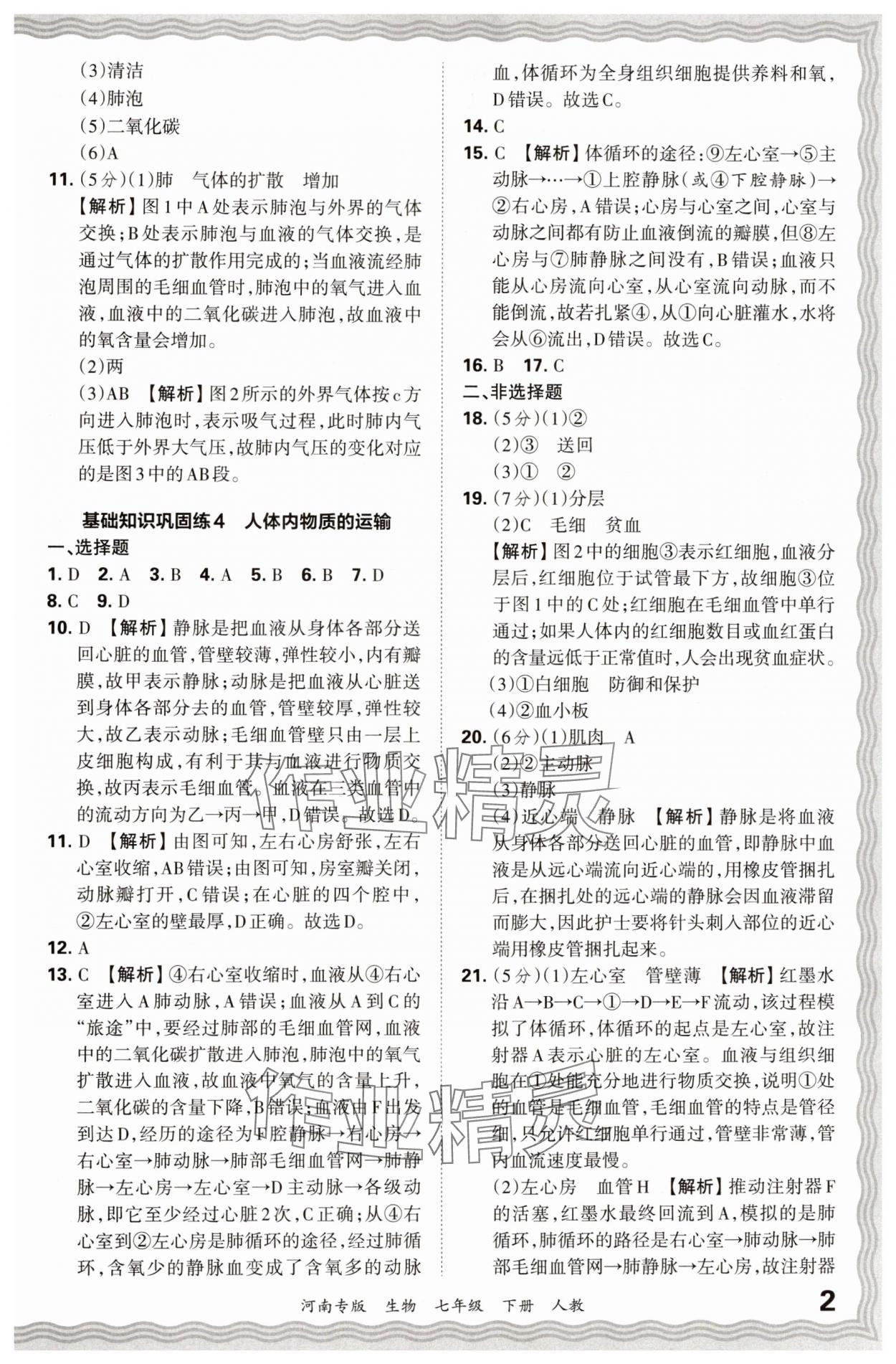 2024年王朝霞各地期末試卷精選七年級生物下冊人教版河南專版 參考答案第2頁