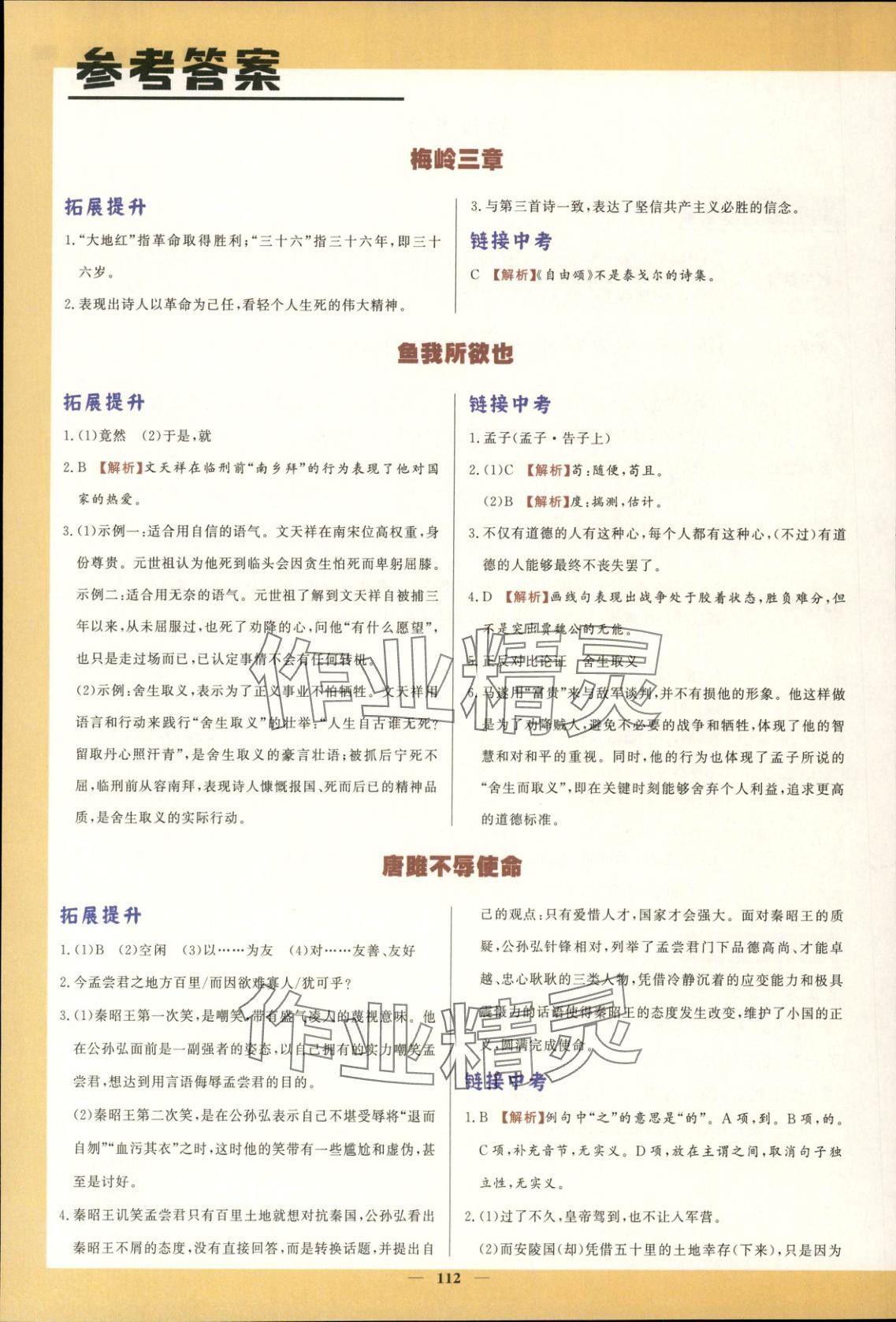 2025年初中文言文详解与训练九年级语文下册人教版 第1页